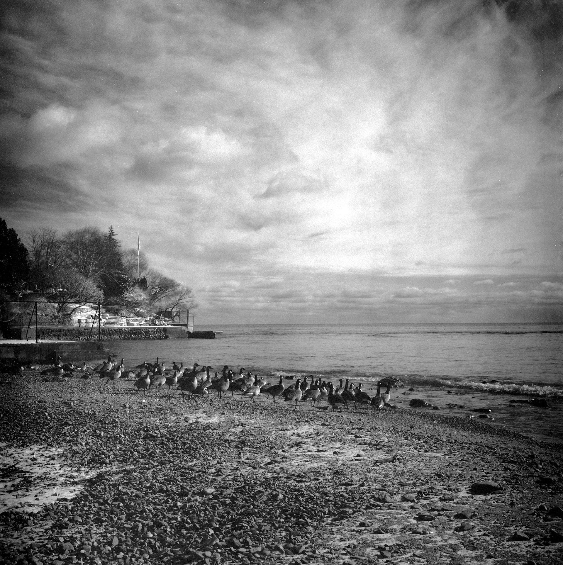 Burlington Lake Shore