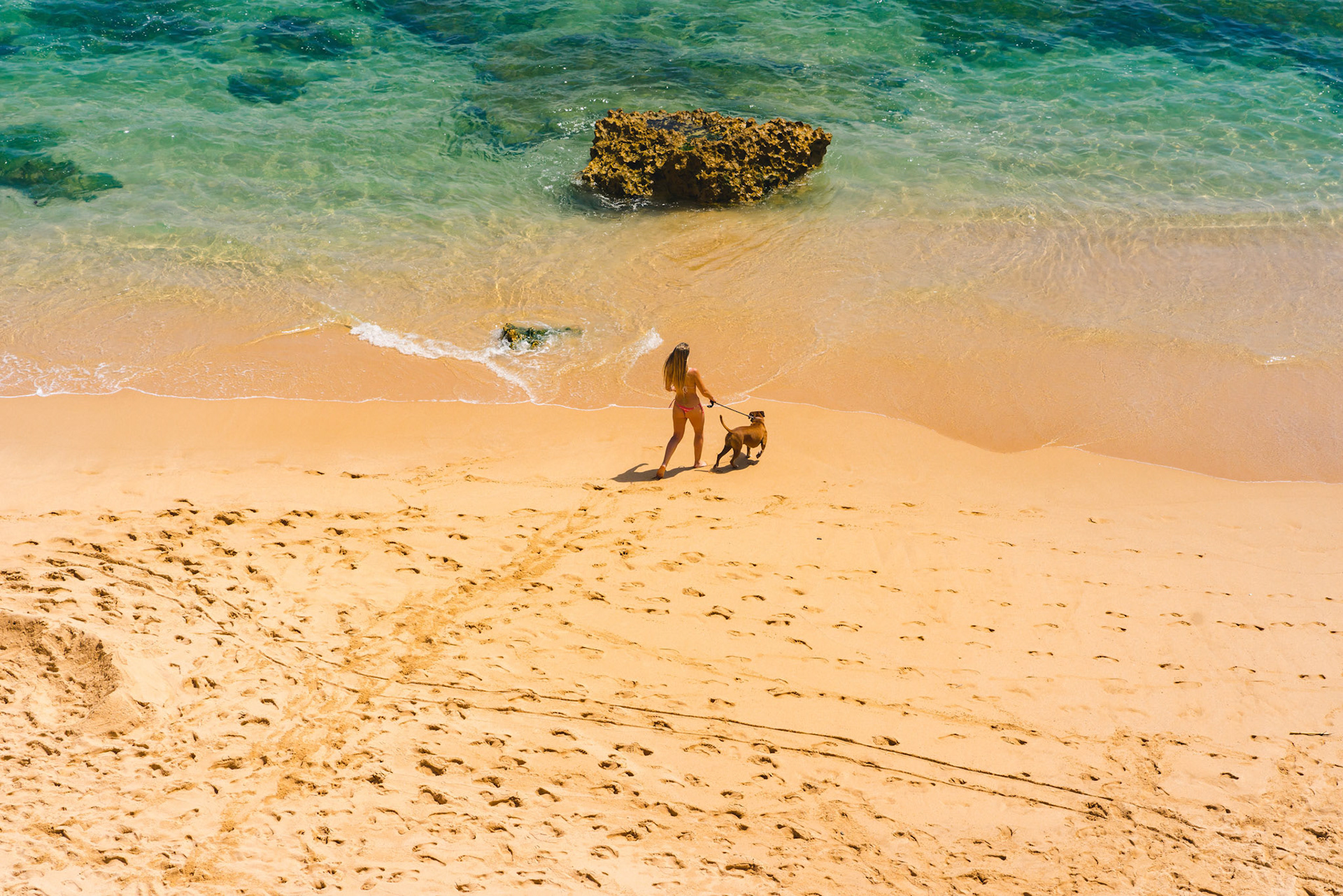 Girl walk with dog on the beach. Yellow sand beack. Aerial view of a beach.