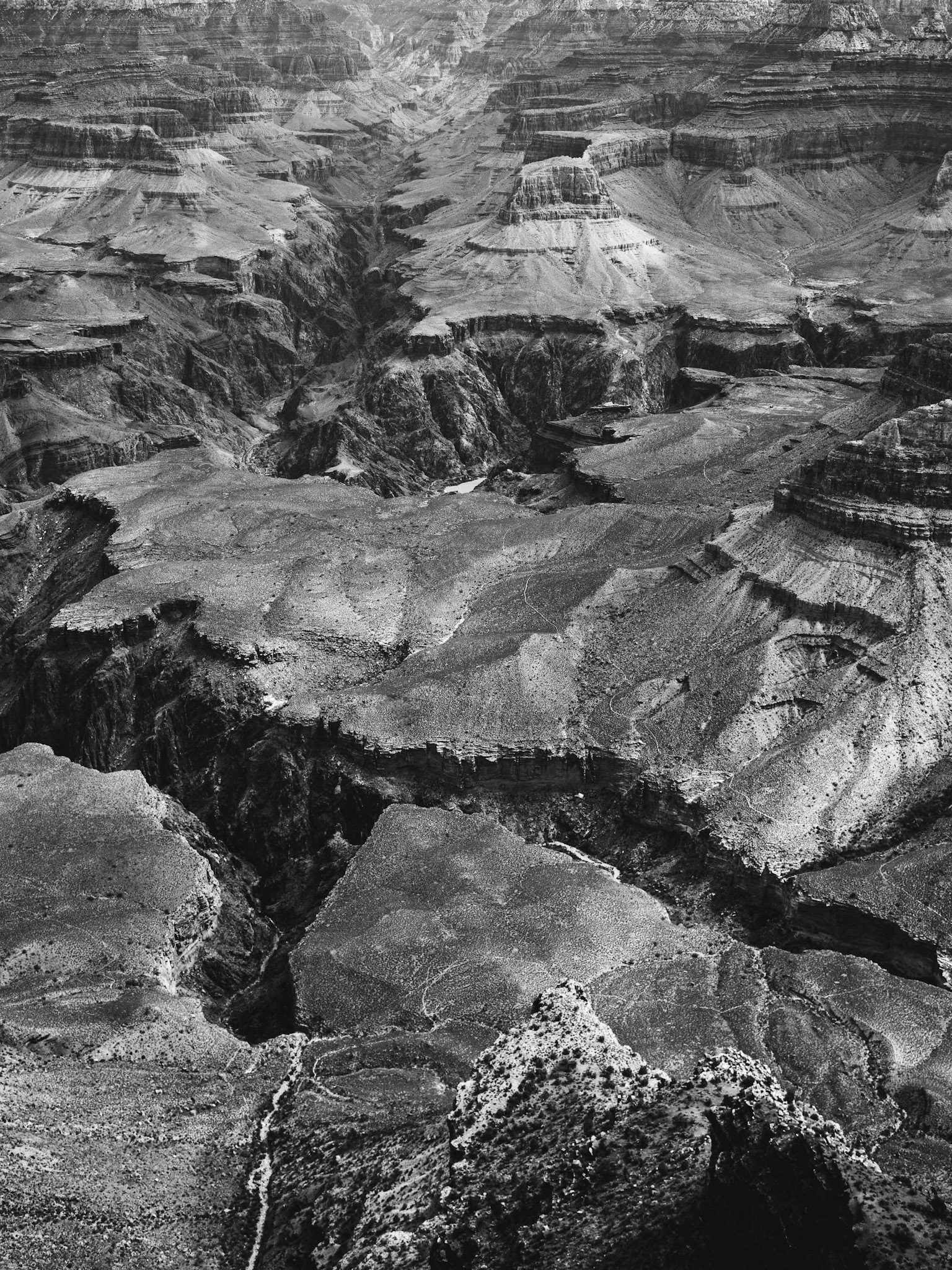 Landscape of the Grand Canyon in monochrome photography.