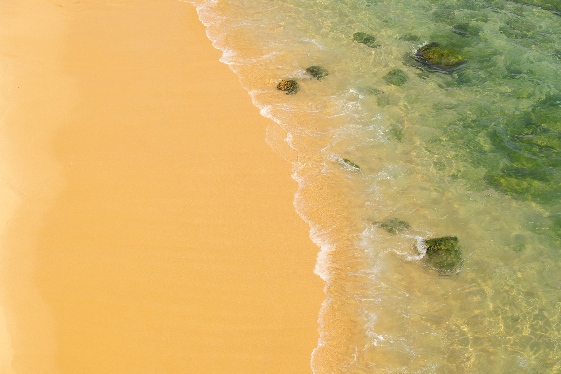 Top view aerial photo of a wonderful nature landscape with sandy yellow beach with beautiful coral bottom for snorkeling. Seascape with beautiful calm waves. Website background, Landing page background.