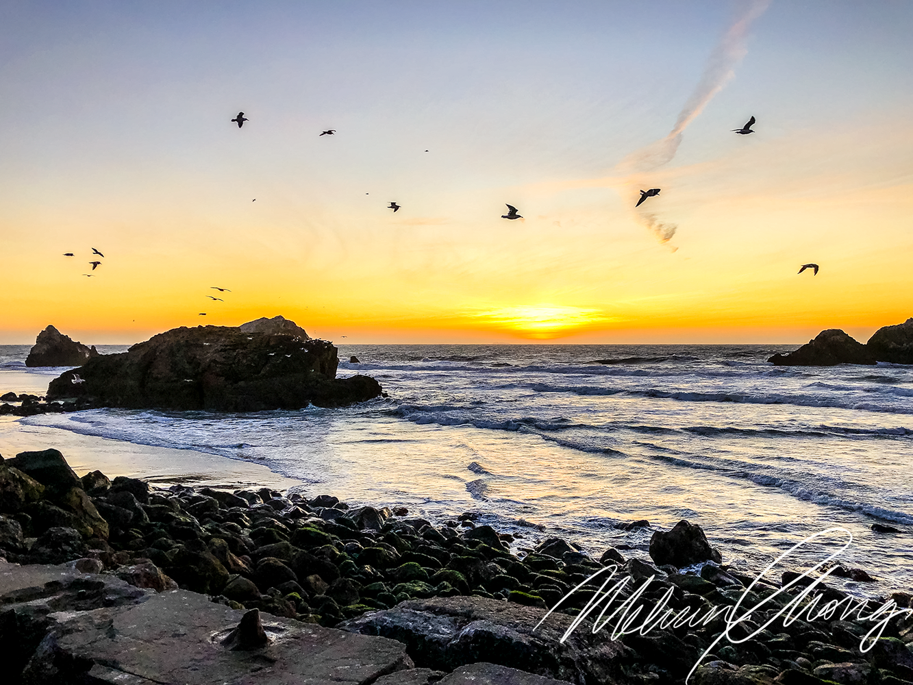 © 2019 | Sea Cliff Beach looking out to the Pacific Ocean | 2023