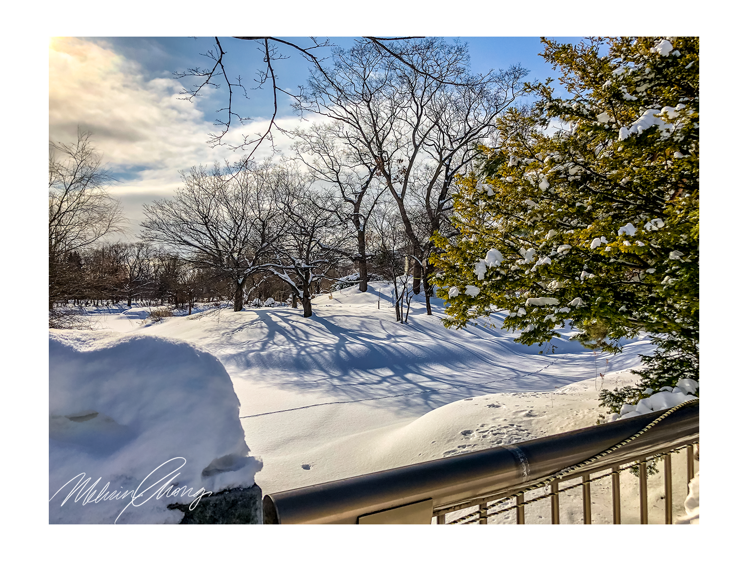 © Melvin Chong Jan 2019 | Nakajima Park, Sapporo, Hokkaido | 7249