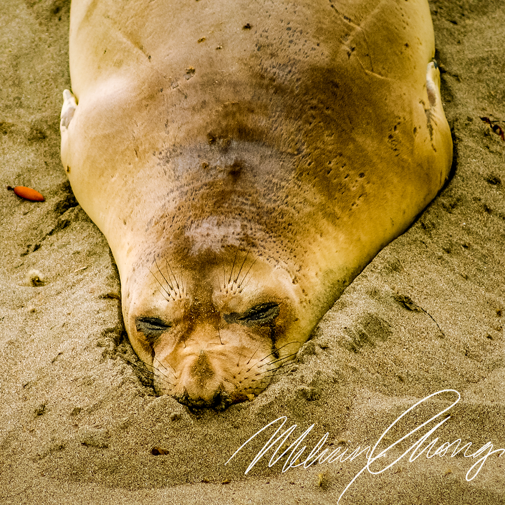© 2019 | Waddell Resident | 03717
