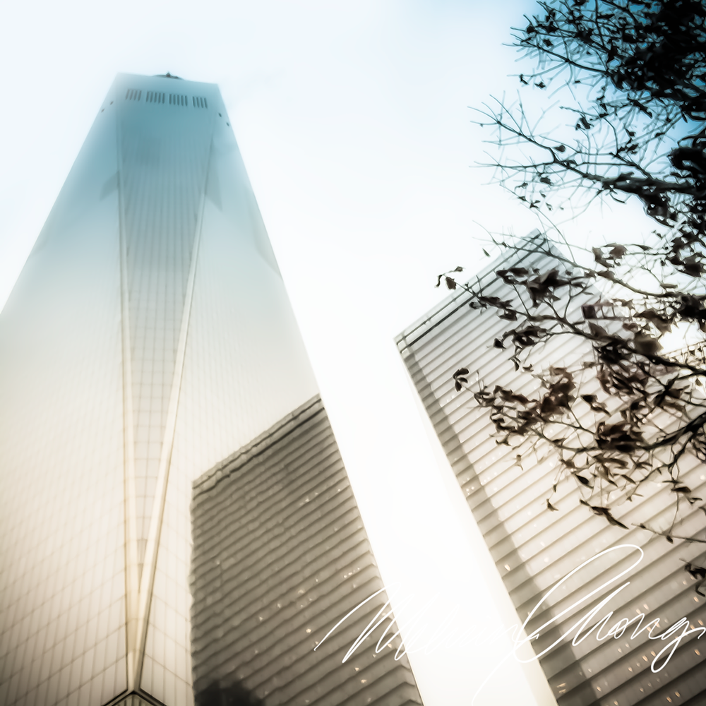 © 2019