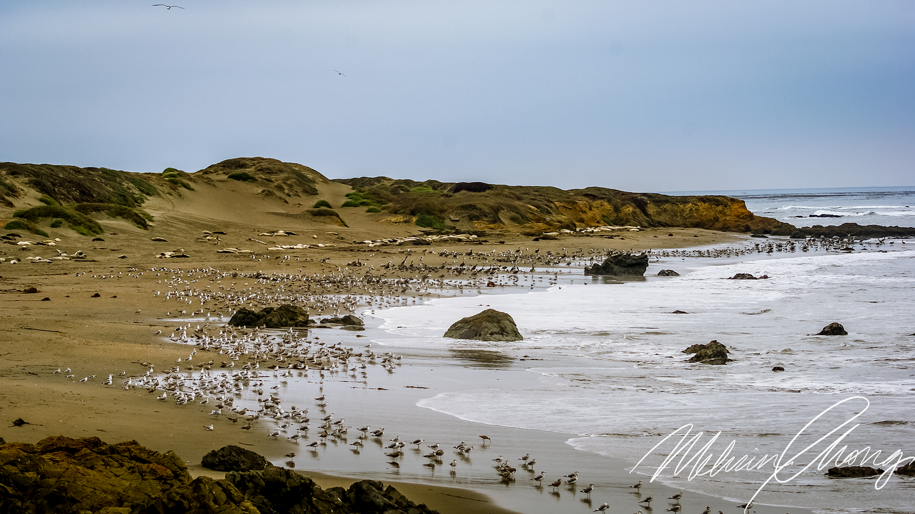 © 2019 | CA 1, Waddell Beach | 03729