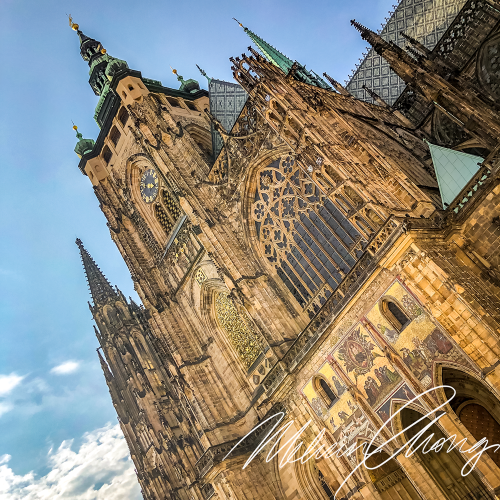 © 2019 | St. Vitus | 7811