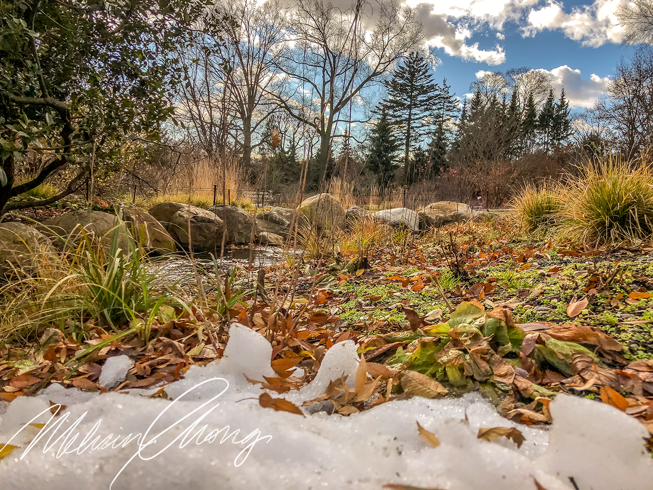© 2019 | Brooklyn Botanic Garden | 3083