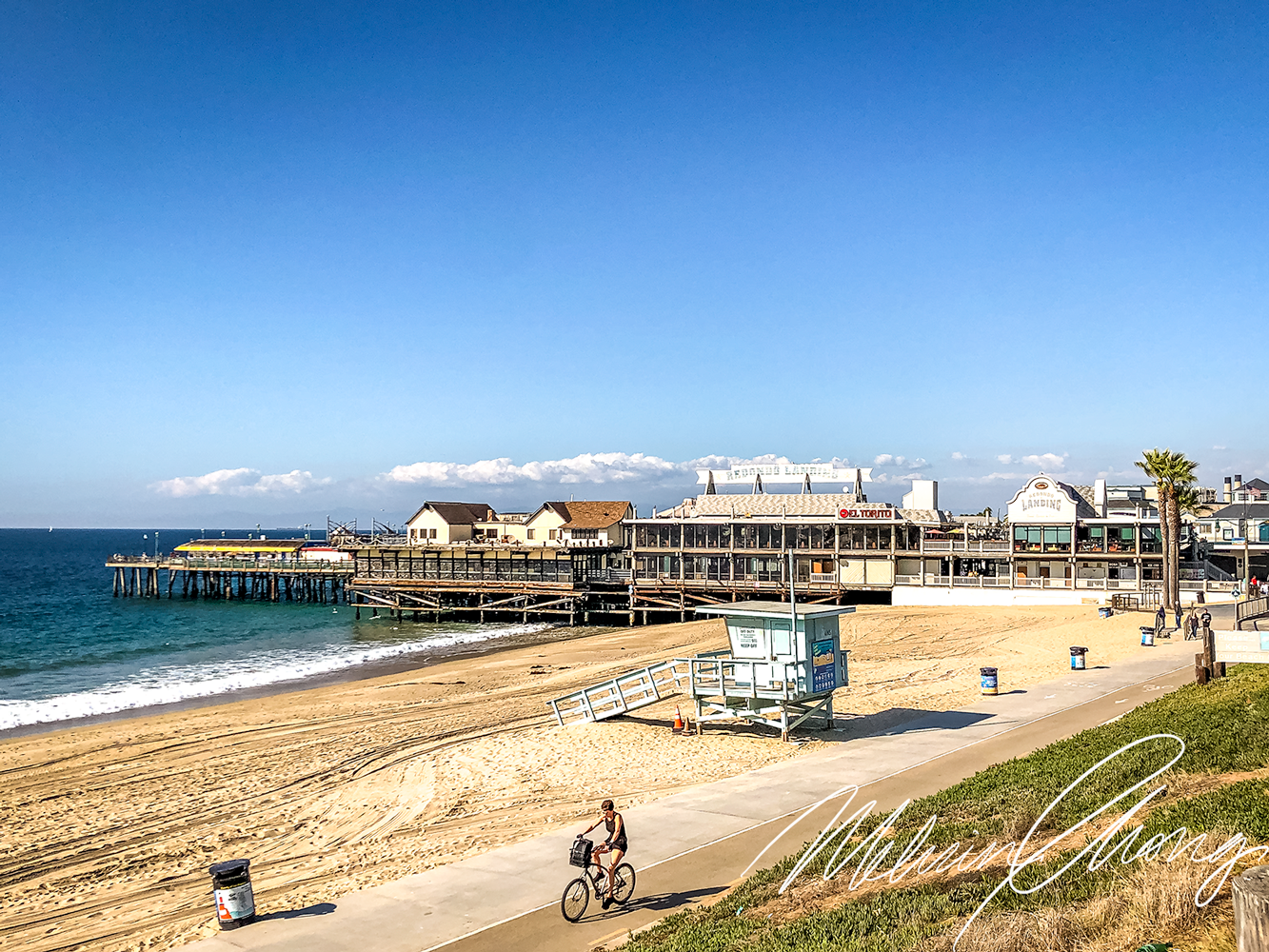 © 2019 | S. Redondo Beach | 1539