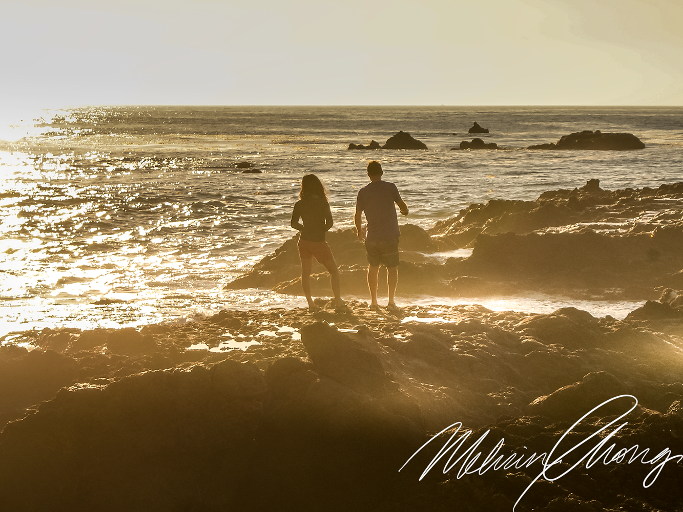 © 2019 | Palos Verdes | 04113