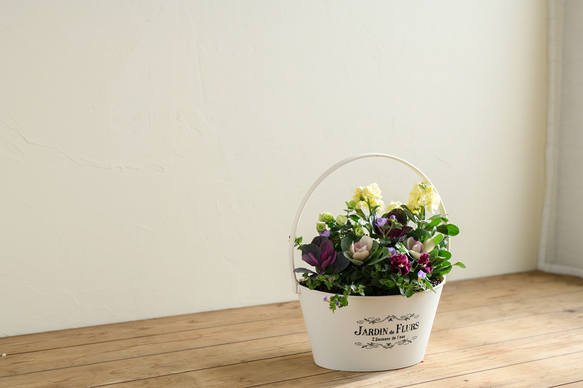 寄せ植えのこと 寄せ植えギフト 冬 寄せ植えのこと 寄せ植えギフト 冬