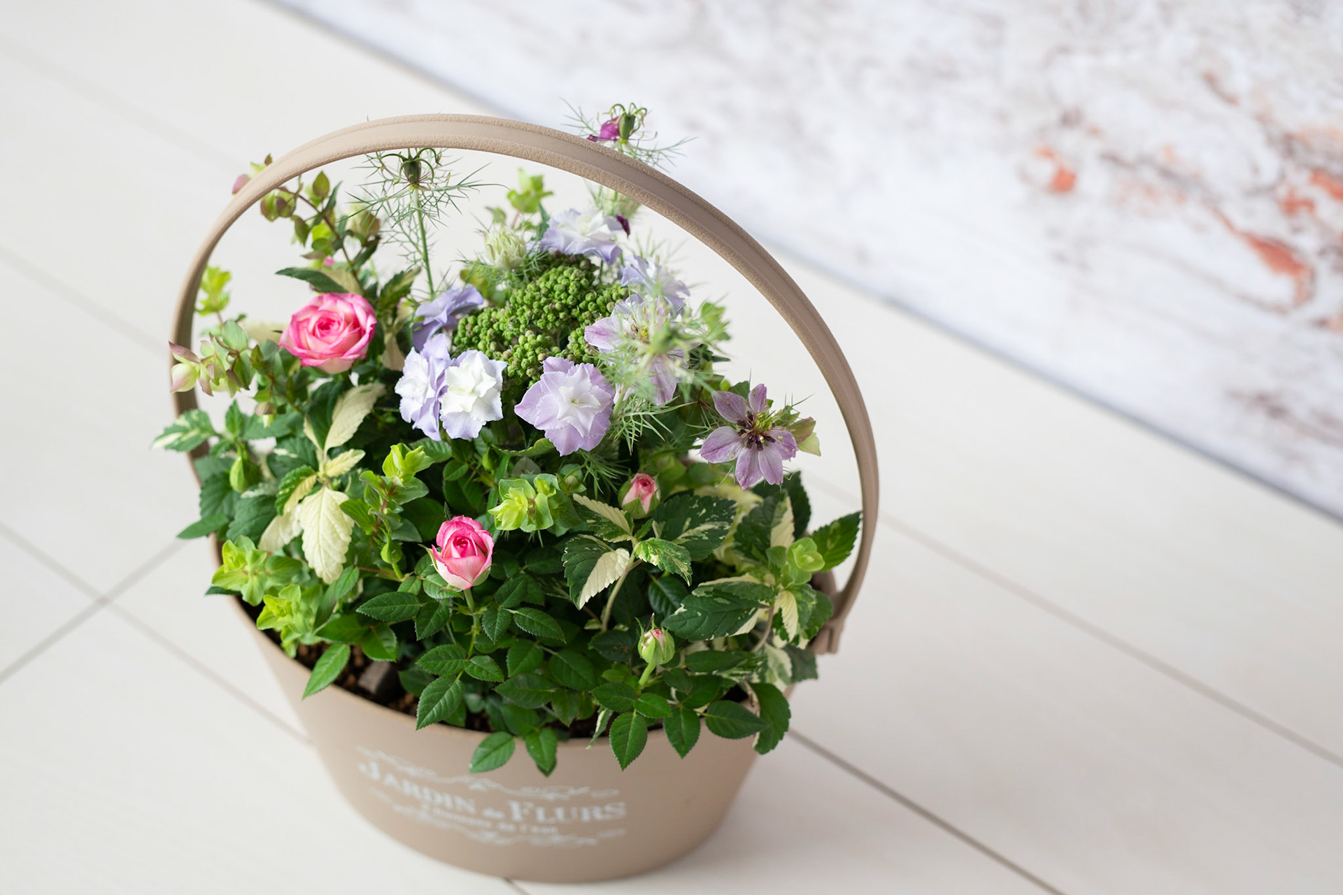 寄せ植えのこと 寄せ植えギフト 夏