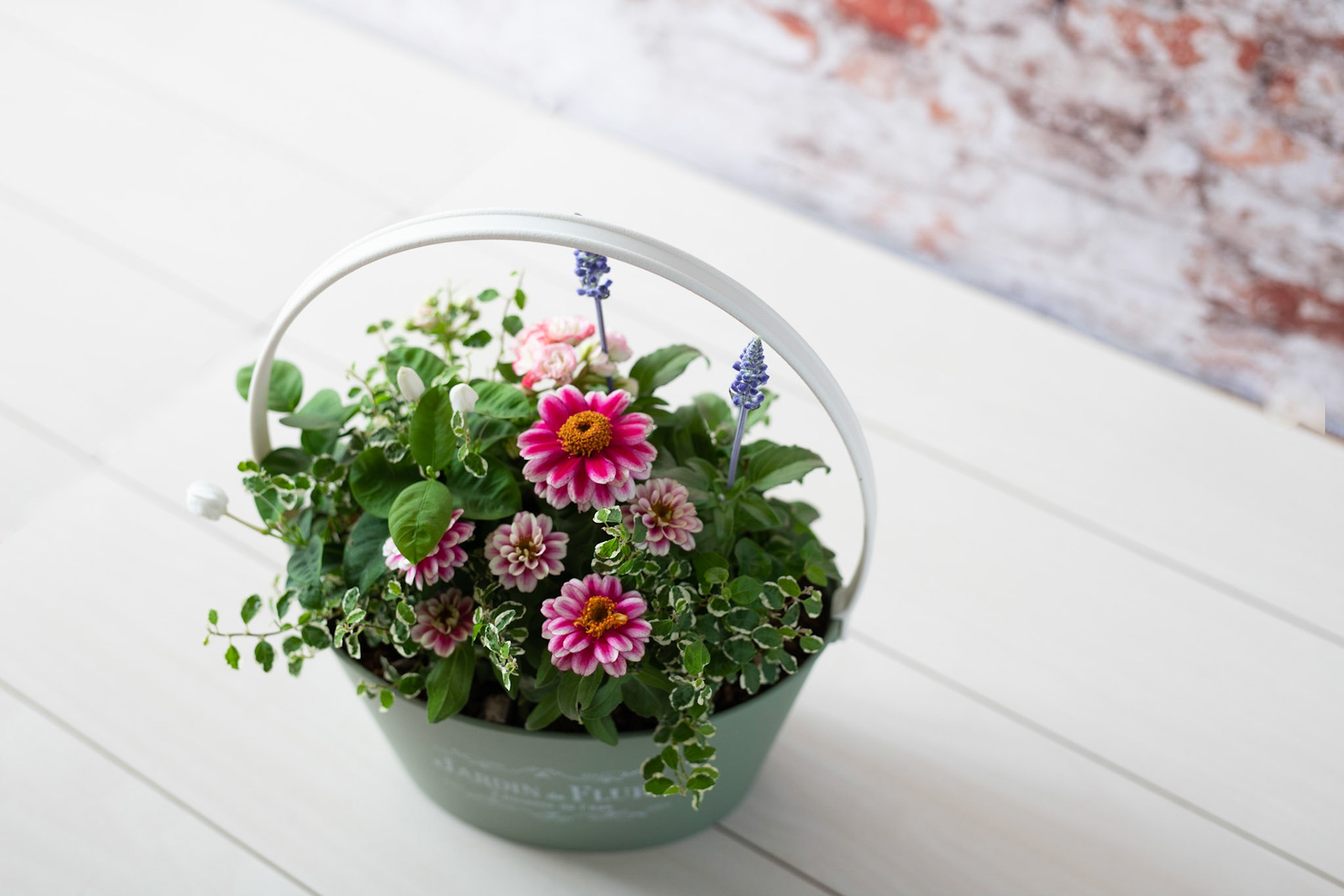 寄せ植えのこと 寄せ植えギフト 夏