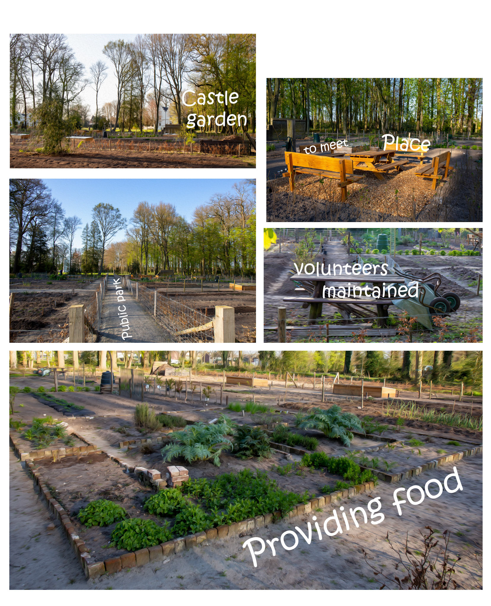 WEEK 16: Community Spirit & Multi Panel Sequences