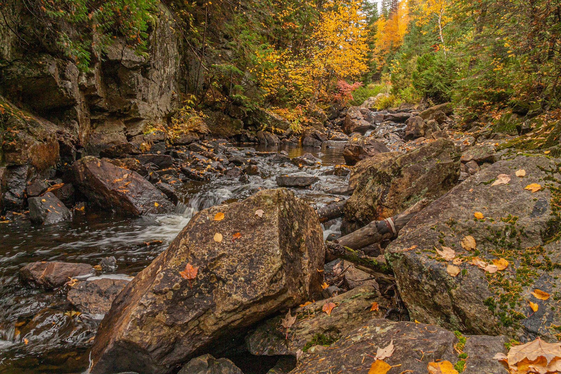 Rivière Noire