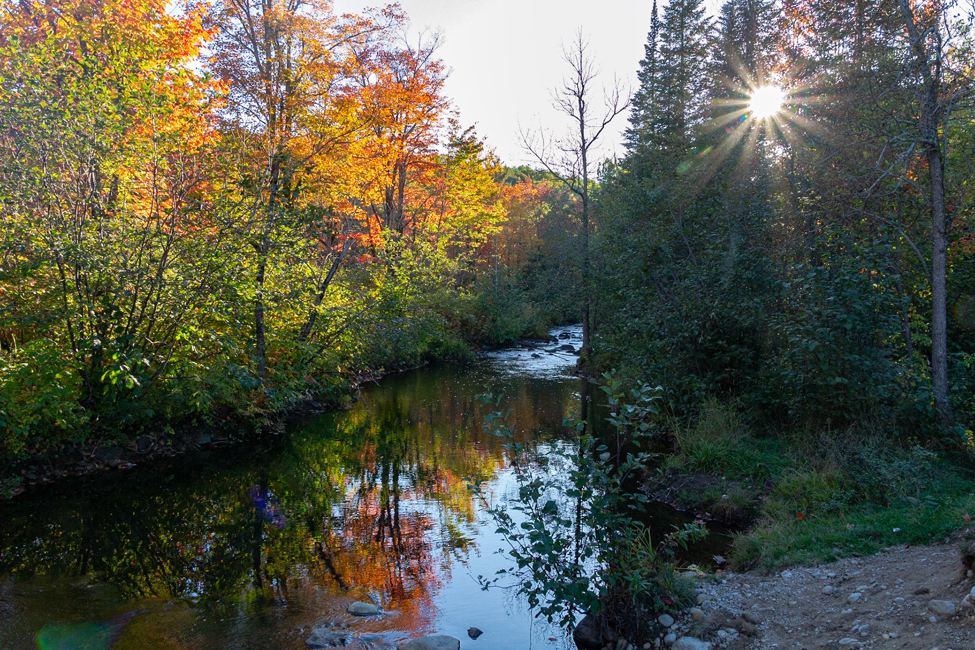 Rivière Noire