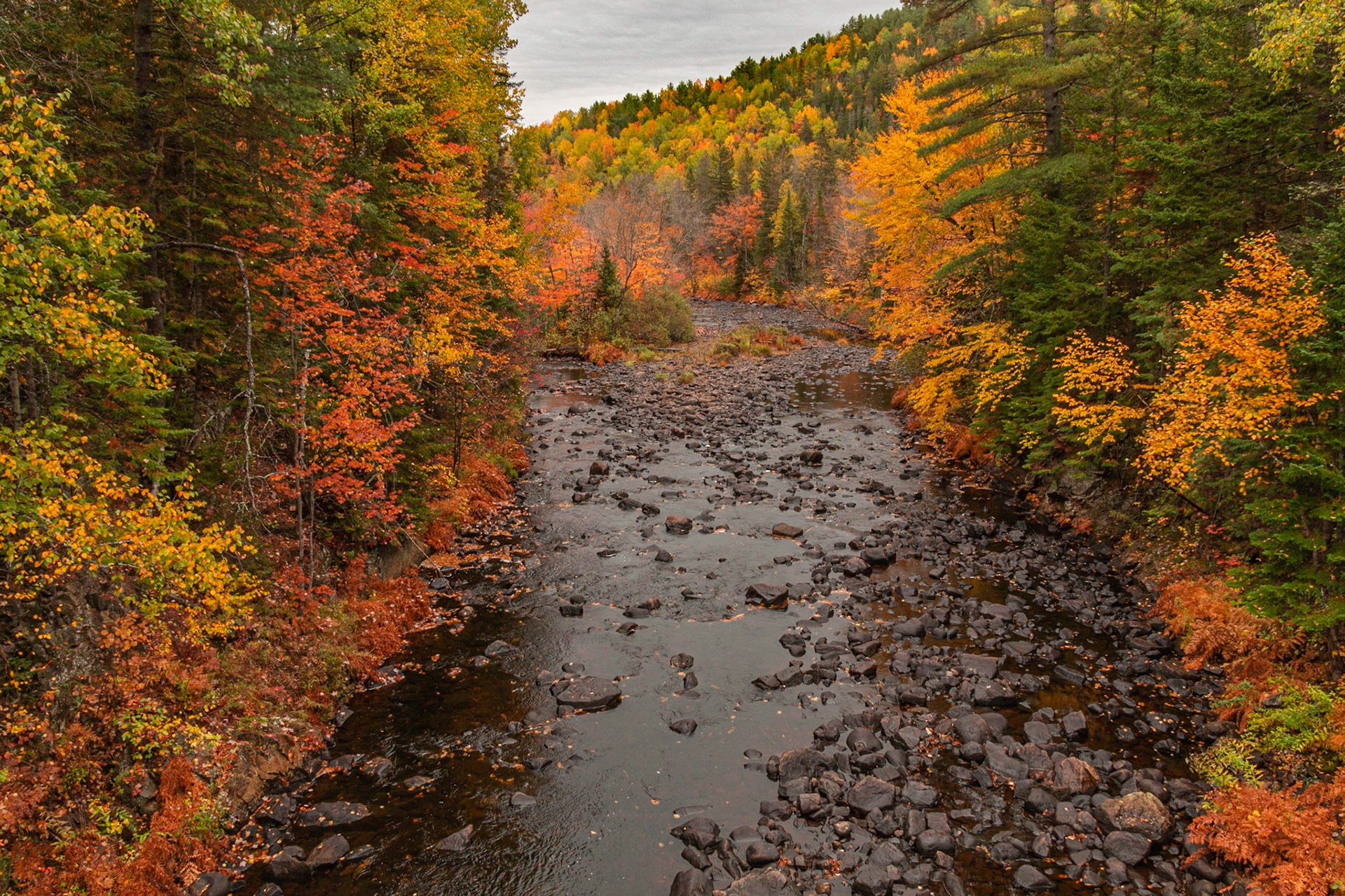 Rivière Noire