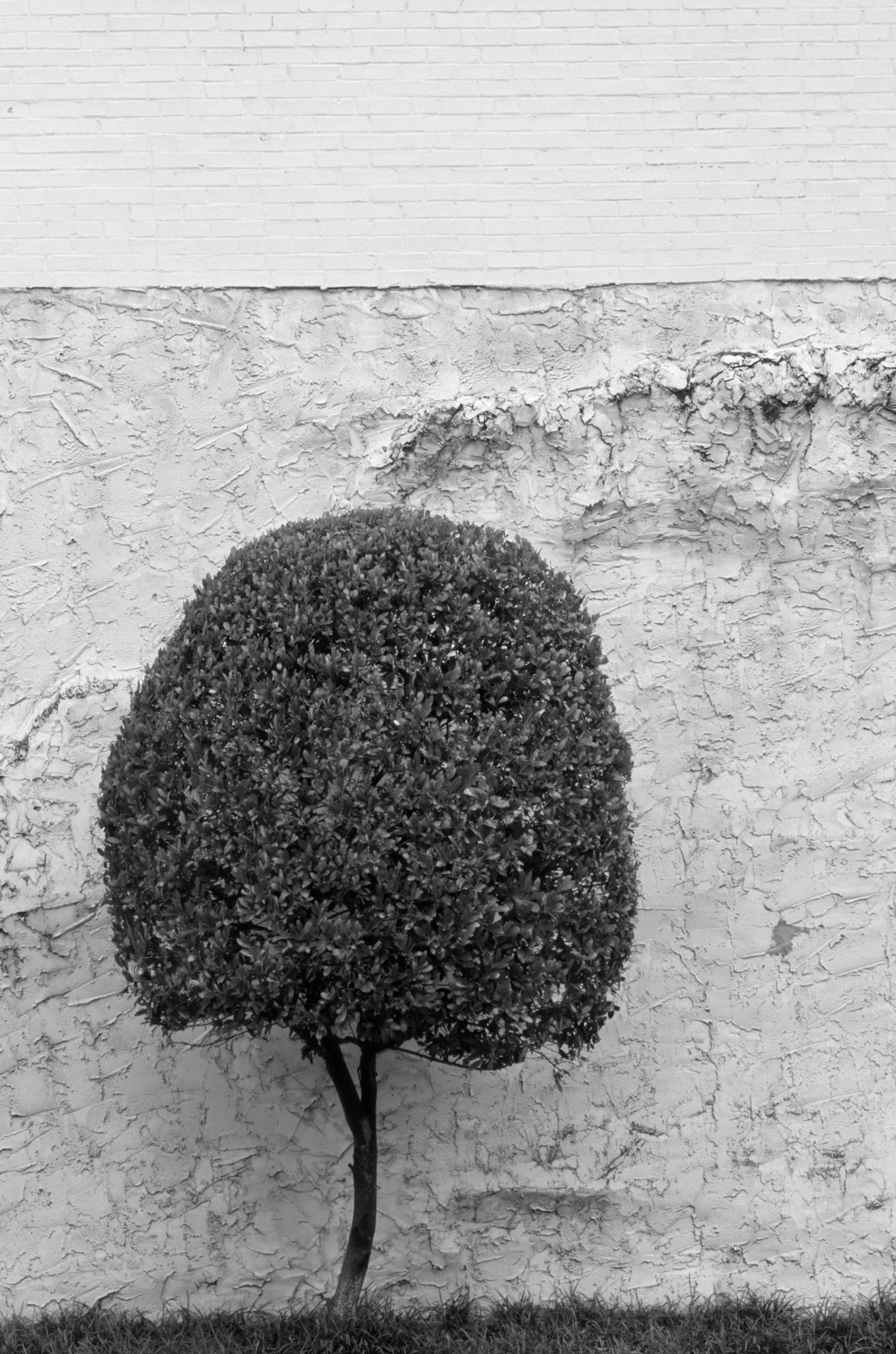 Two Dimensional Landscape, Atlanta Georgia 2004
