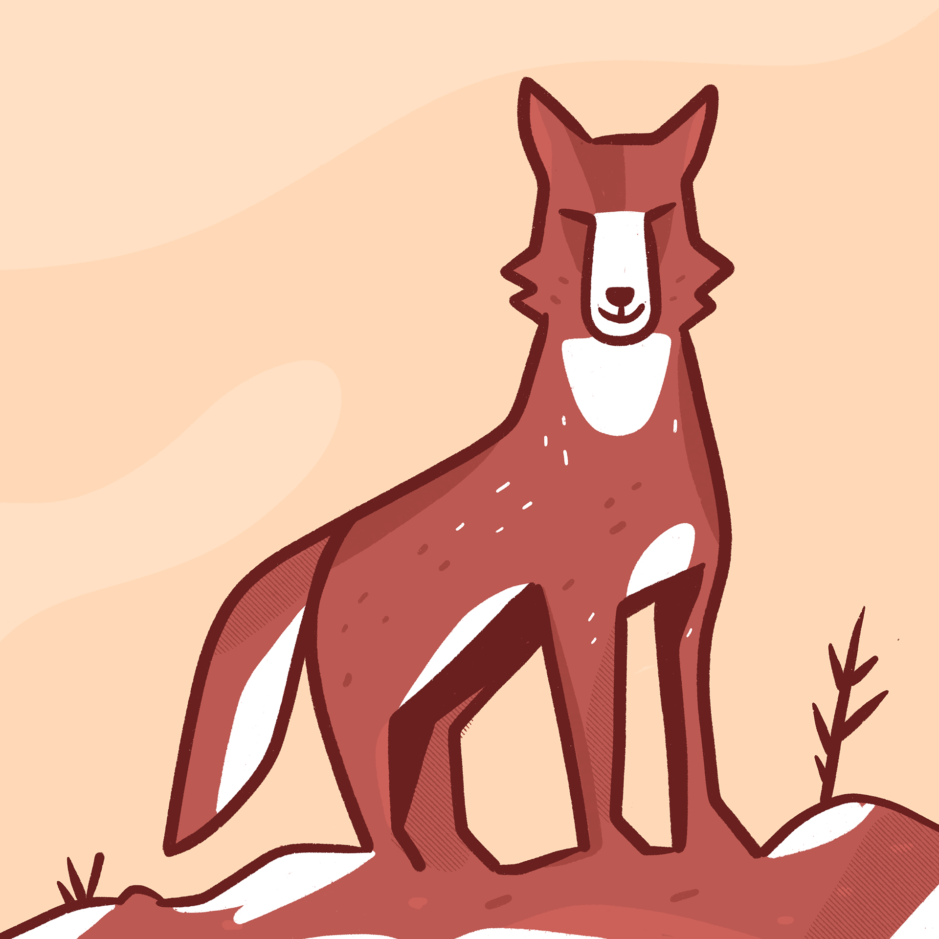 Red Wolf / Lobo Rojo - David Espinoza