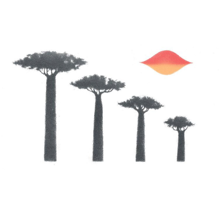 Renala / Grandier's Baobab - Samuel Castaño