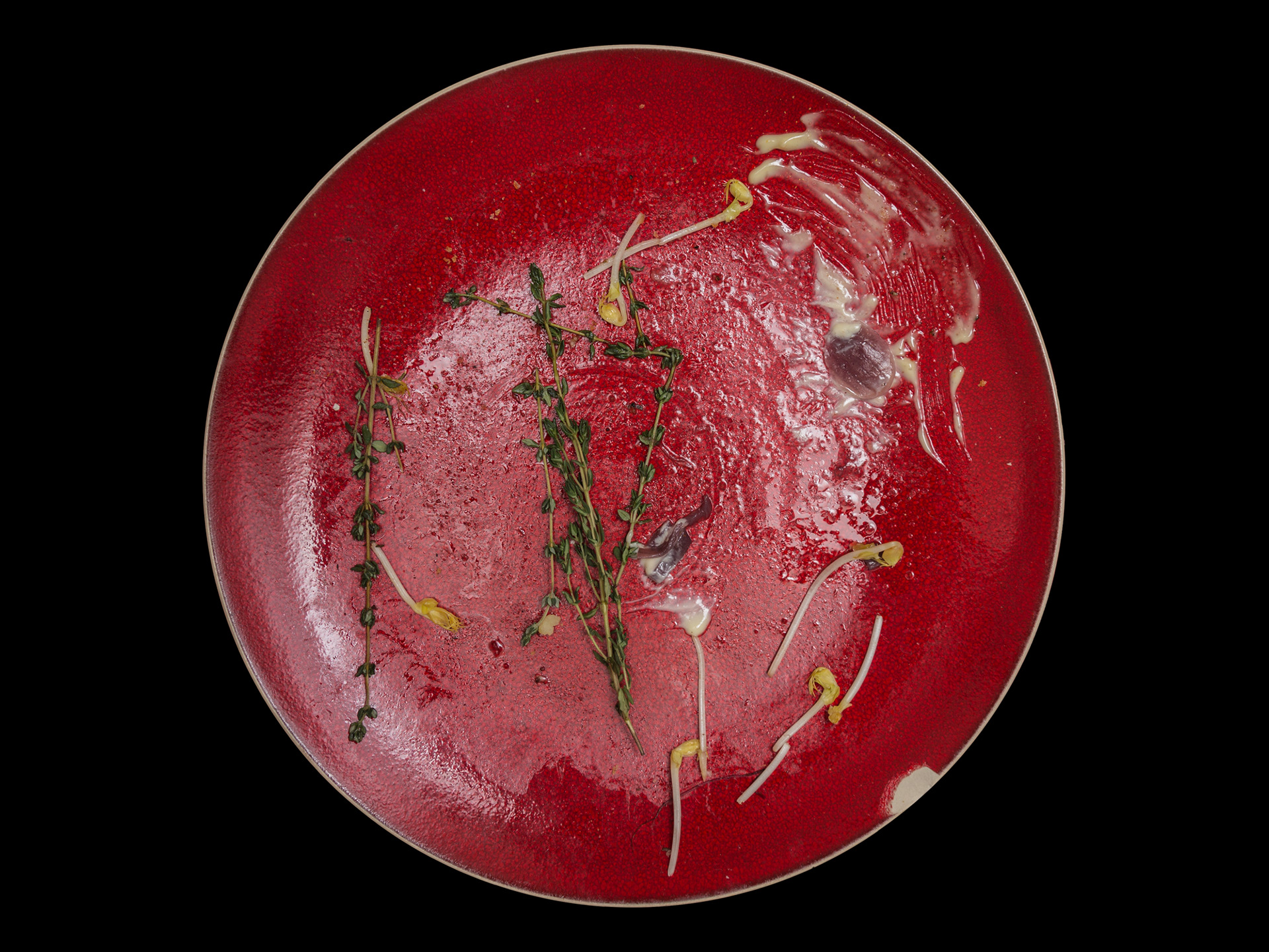 Monika Balu Wednesday Night plates