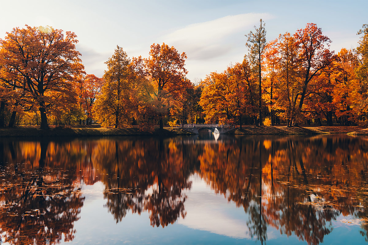 Danil Nikonov - Golden autumn. Pushkin, Saint-Petersburg, Russia