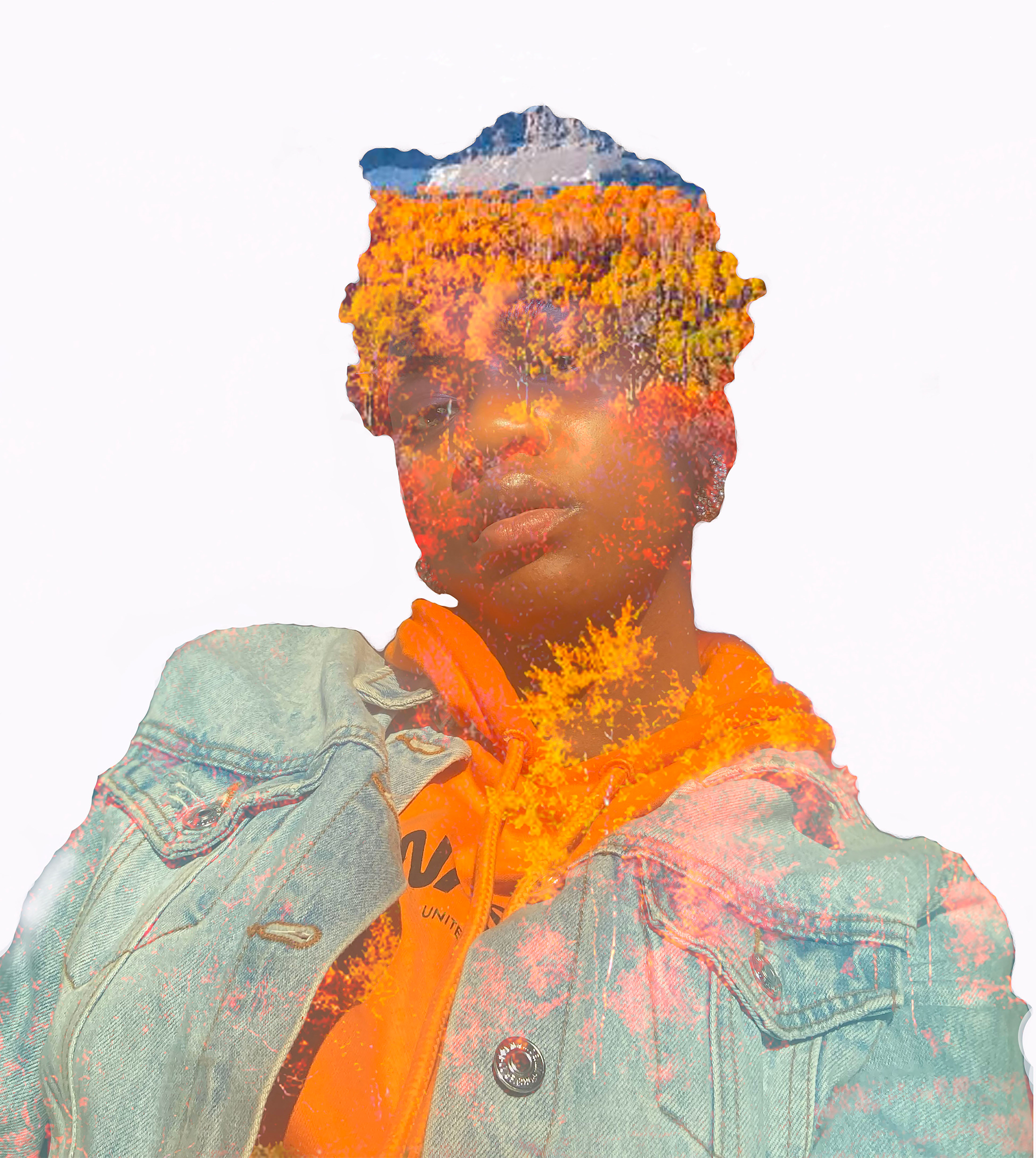 Tyeisha Gurley, Autumn Orangcé, Digital Art, Mentor High School, Educator: Cynthia Wolski, Grade 11, Honorable Mention