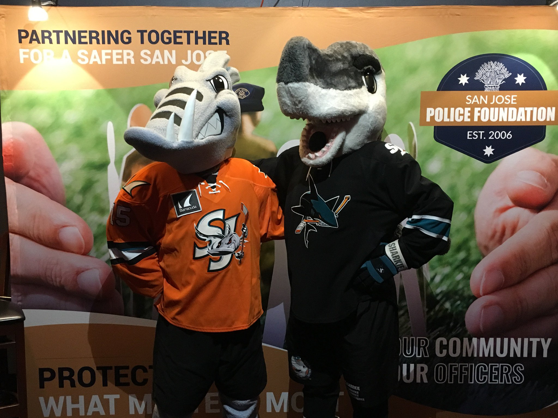 San Jose Barracuda Introduced Mascot Frenzy Before Barracuda Game