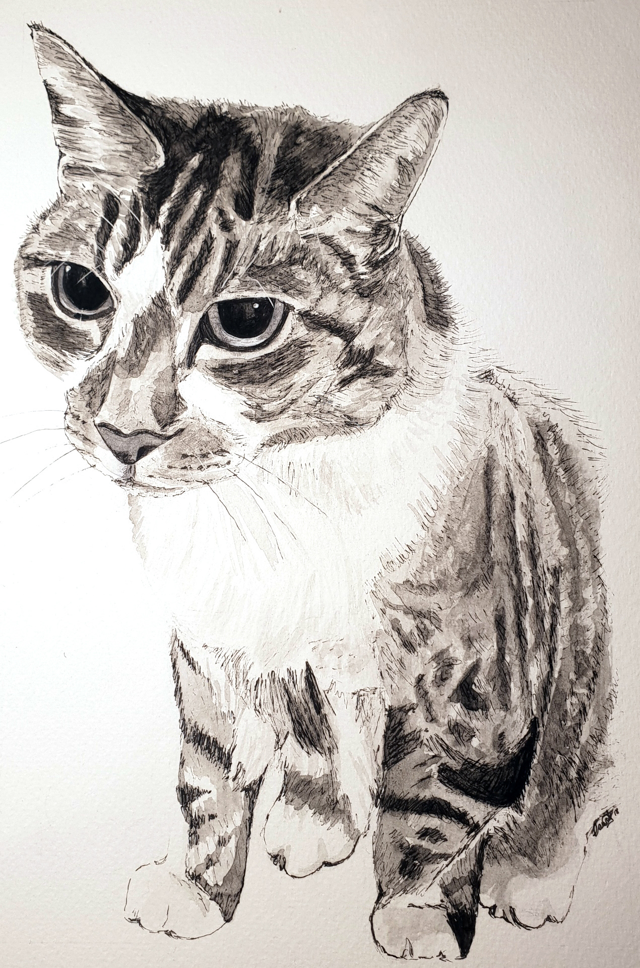 Untitled - 2019, Ink
