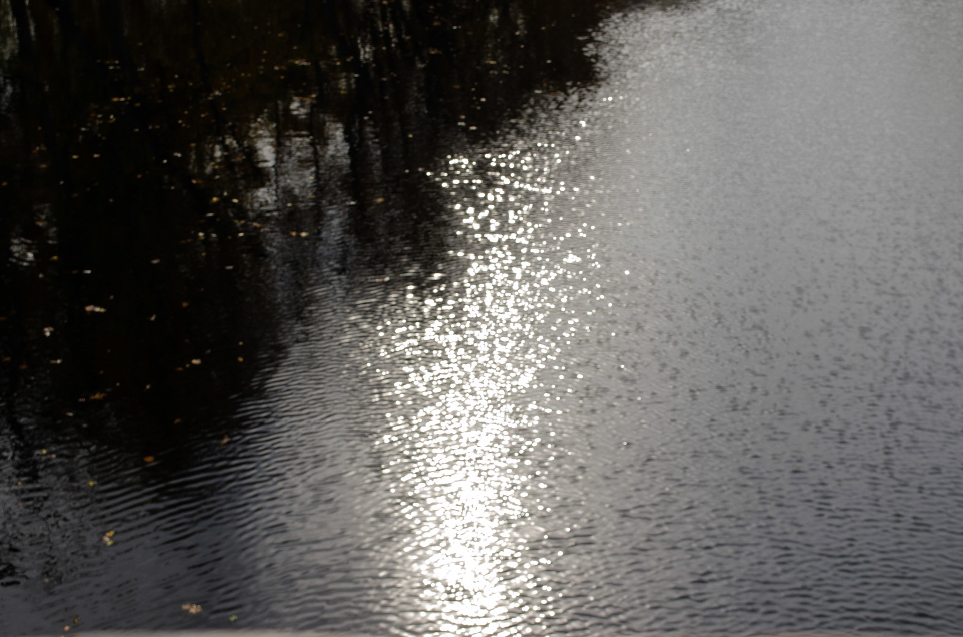 10. Trees reflecting off surface of Concord River on Sunday, October 25, 2020. Photo by Hannah Lee. 1/250 f8 iso 400