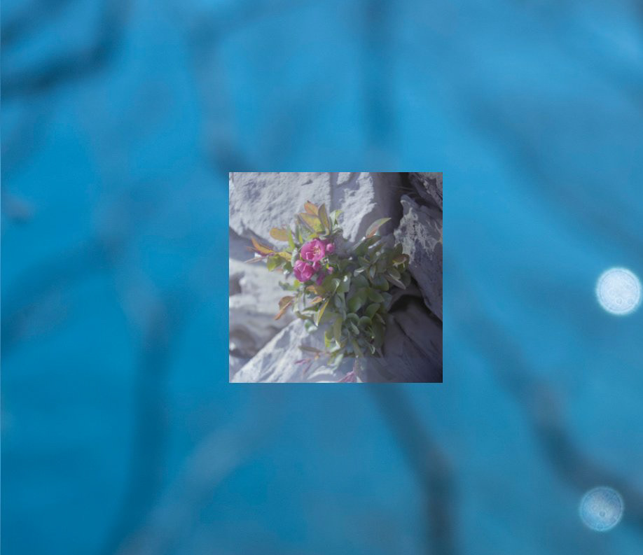 Opening Book on Blurb