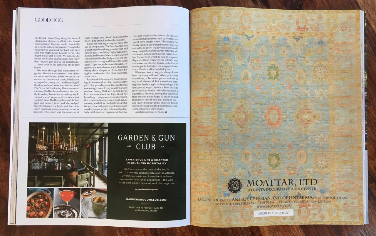 Final artwork published in Garden & Gun