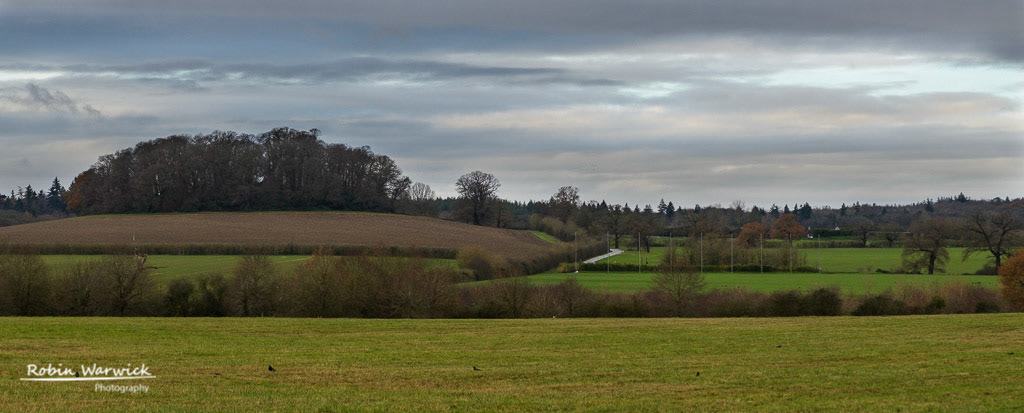 Bromley Hill, Windsor Great Park
