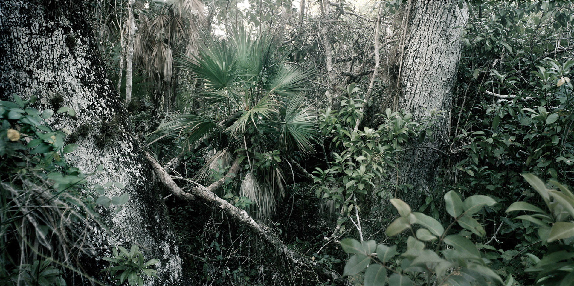 Everglades National Park, FL