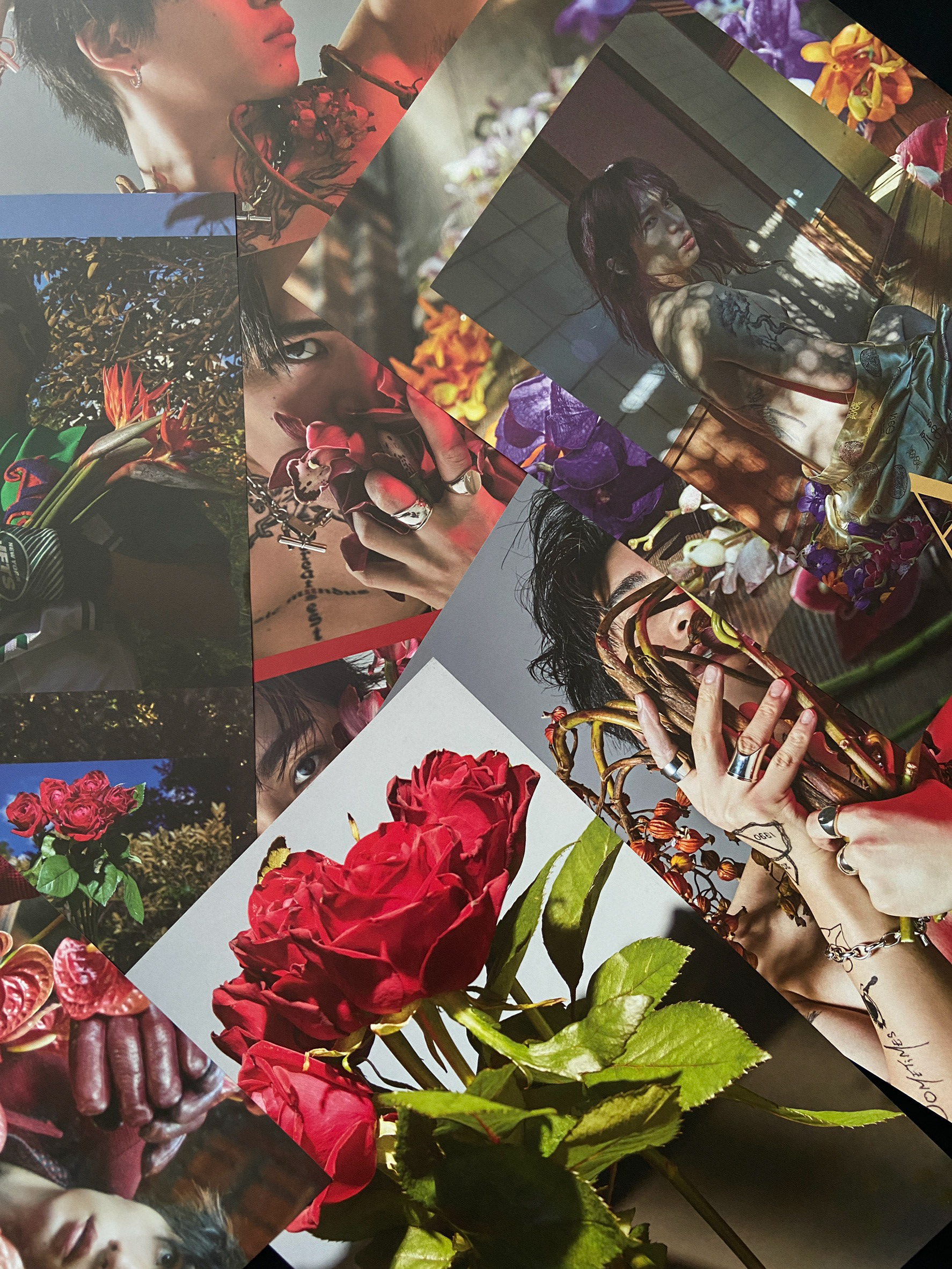 Bloom Stripes Works 松下優也写真集 30 Superfluid Bloom Stripes Works 松下優也写真集 30 Superfluid