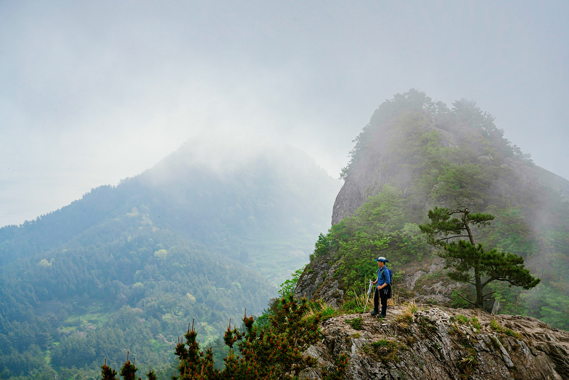 Saryangdo, South Korea - 02 MAY 2020: Saryangdo is a popular destination for hiking, featuring a ridgeline trail that offers mountaintop bridges, expansive views of the sea, and camping opportunities. Fishing and other watersports are also available here.