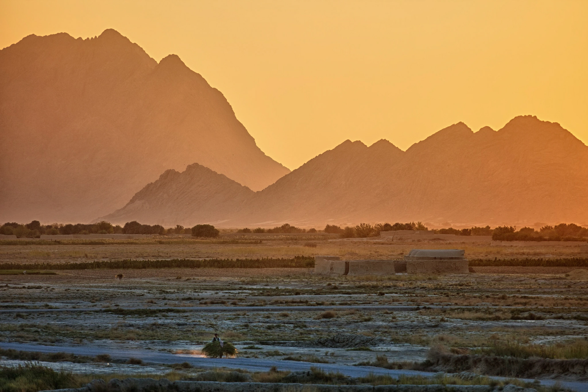 Kandahar, Afghanistan - 22 SEPTEMBER 2010: An Afghan farmer brings a bundle of crops back home as the sun sets.