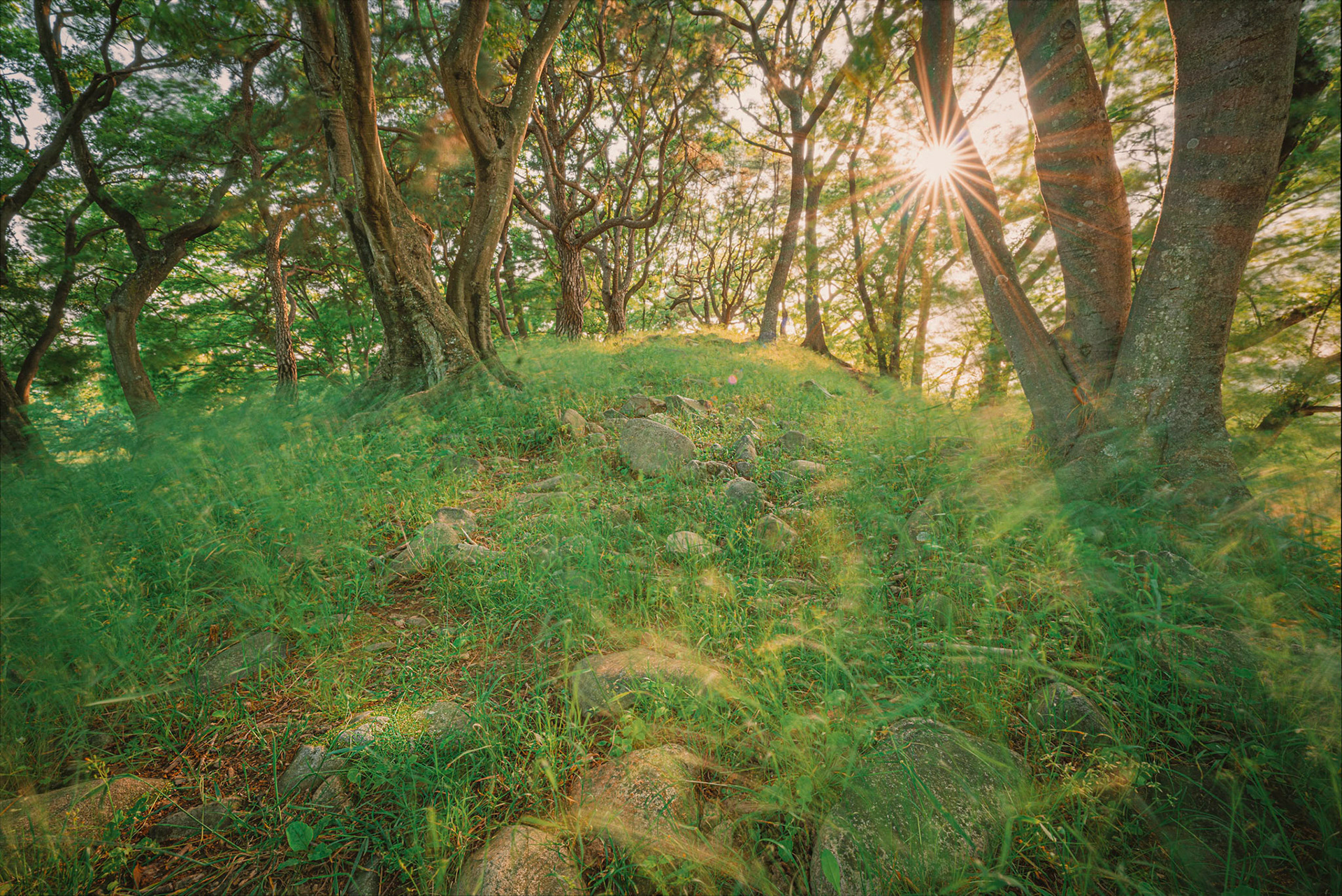 Gyeongju, South Korea - 22 May 2020: Many of the areas of Gyeongju are preserved without reconstruction, leaving natural walking trails around spaces where archeolgoical study is still ongoing in this location which was once a centerpiece of the Shilla dynasty.