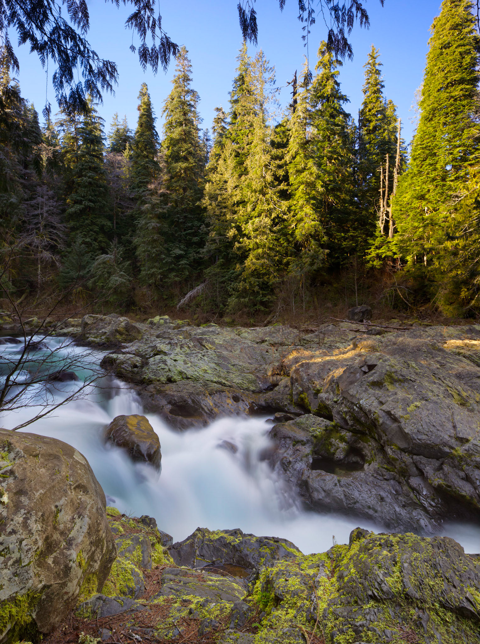 Taken in Olympic National Park, Washington USA