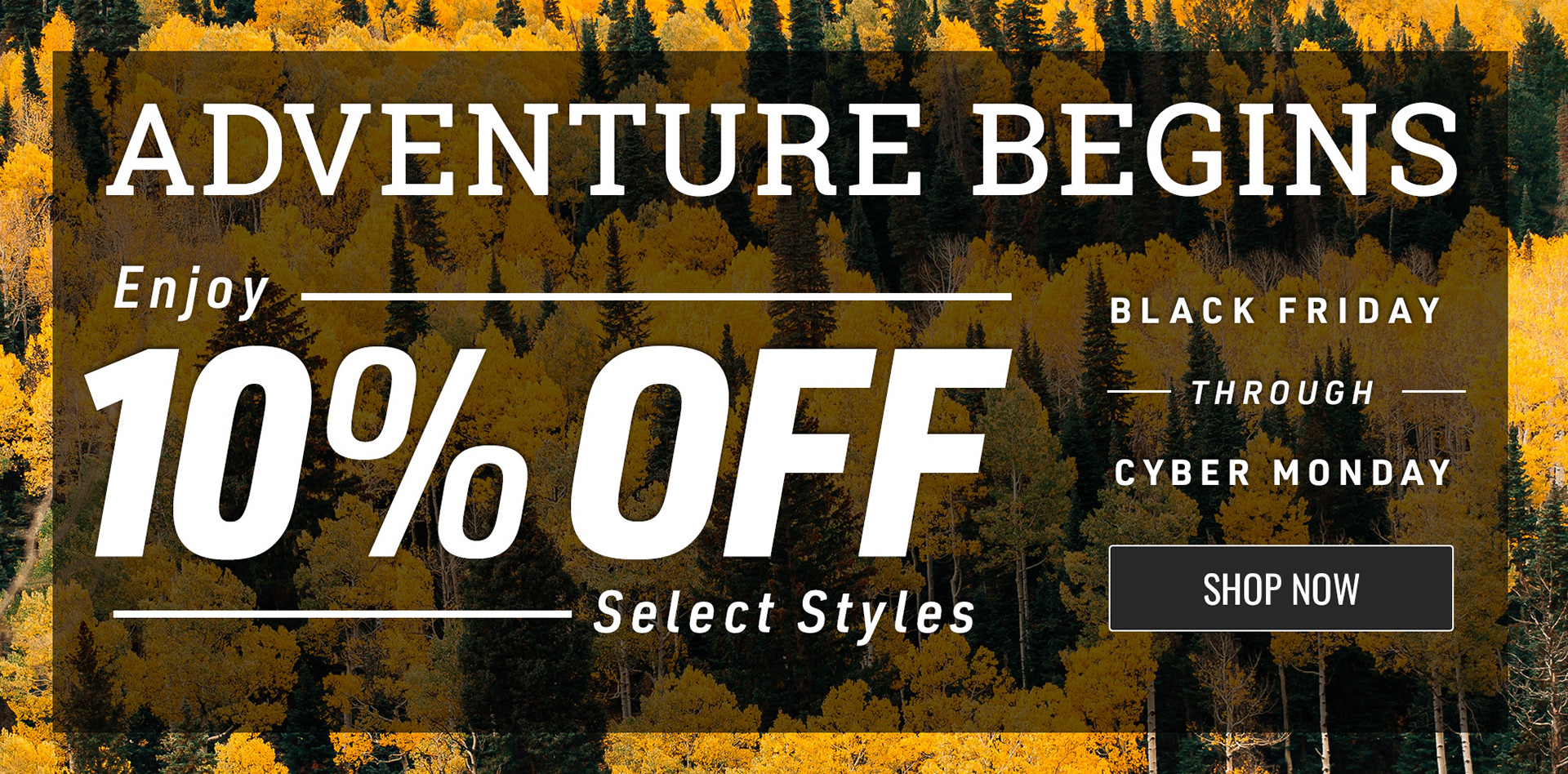 Promotion on Black Friday