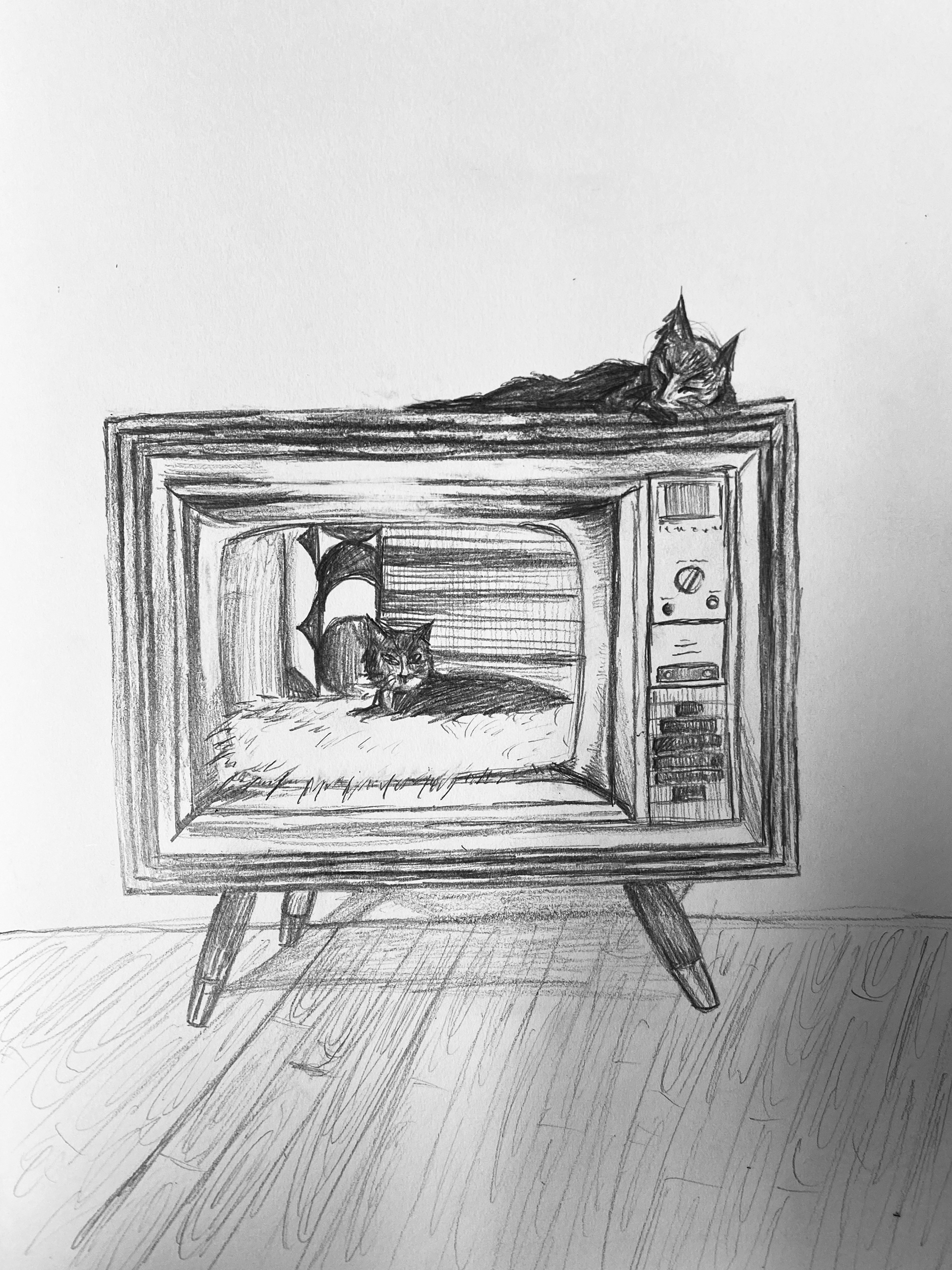 Cat Study