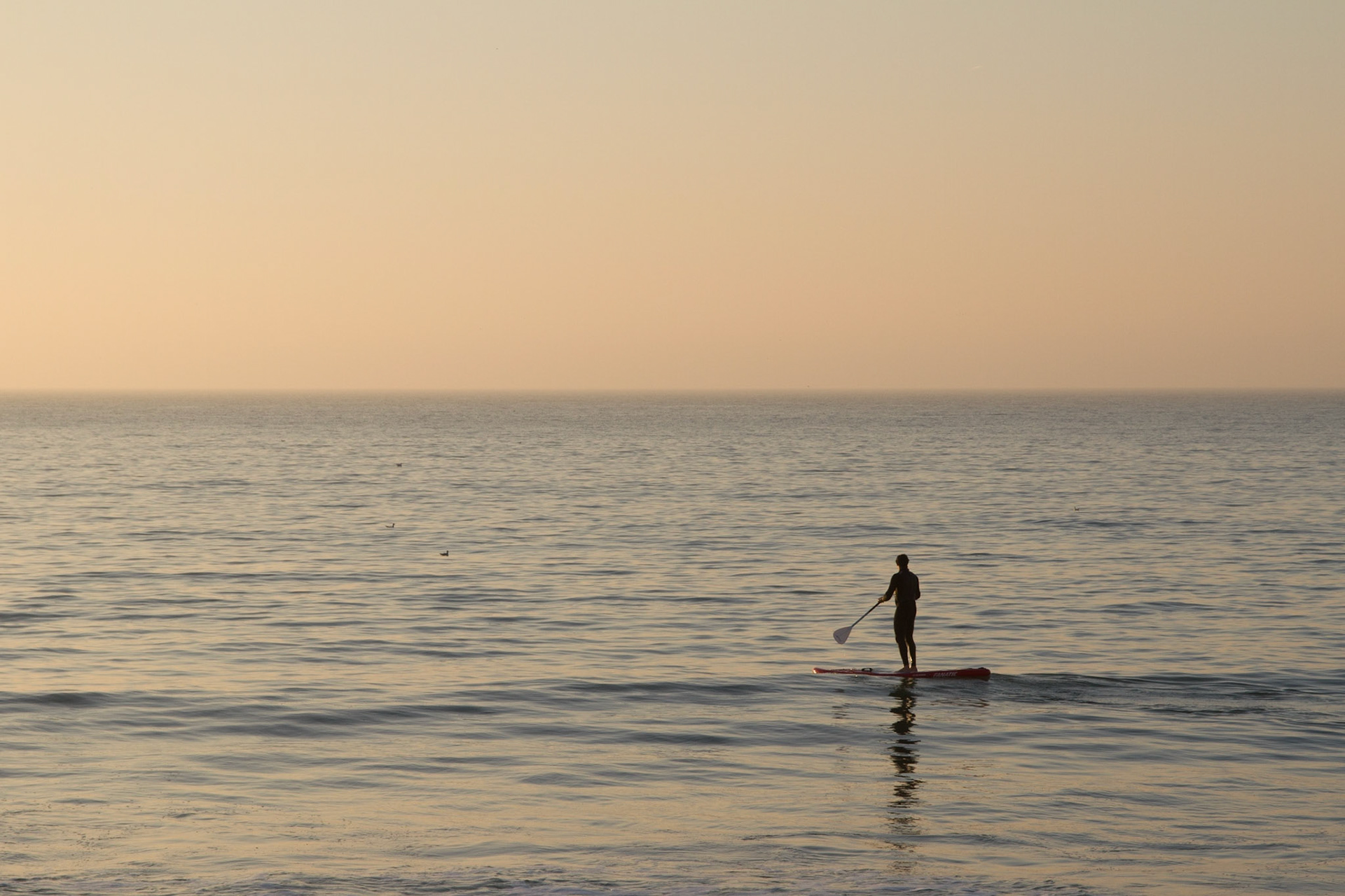 Stand-up paddle à Wimereux