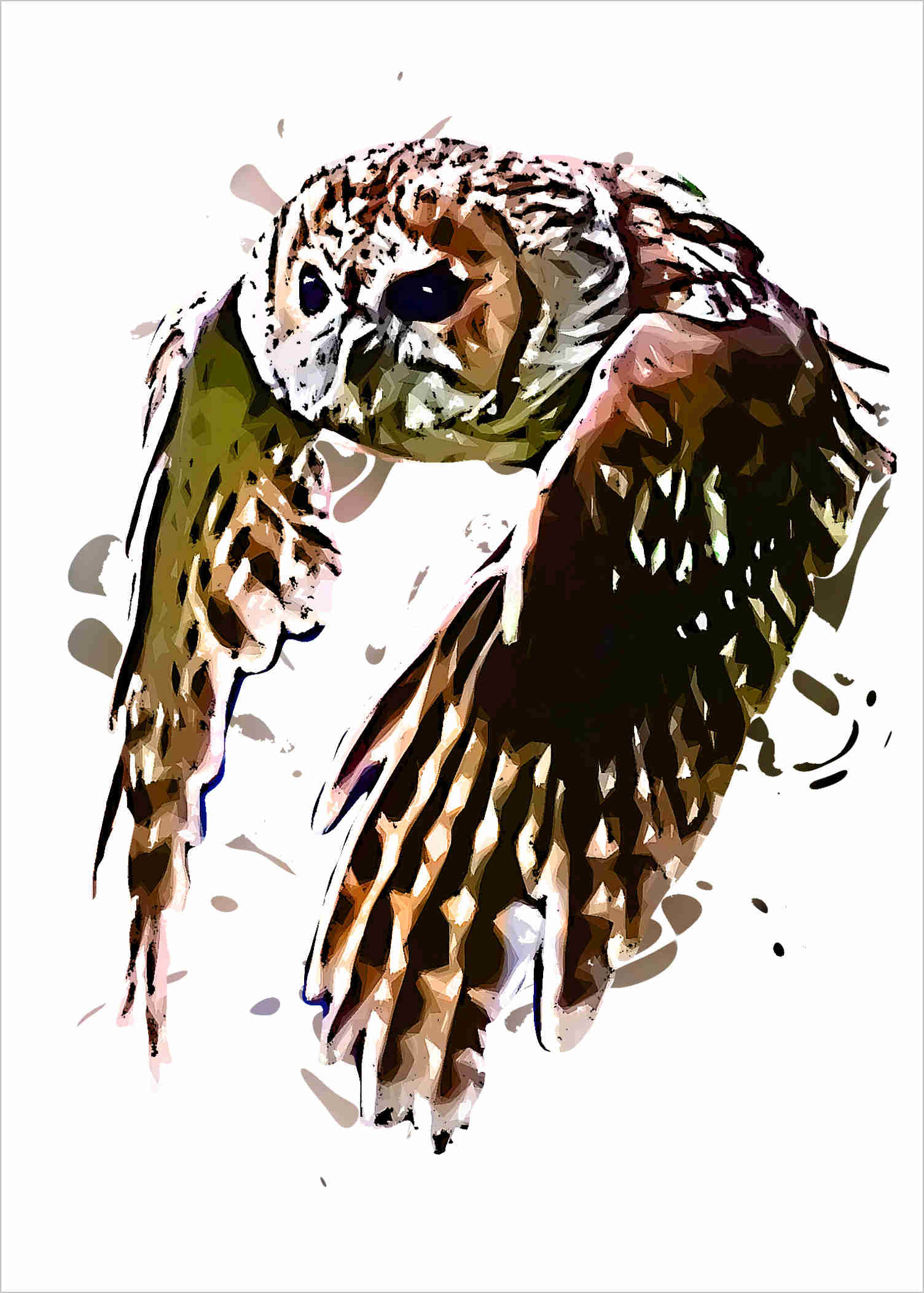 Tawny Owl 723200120