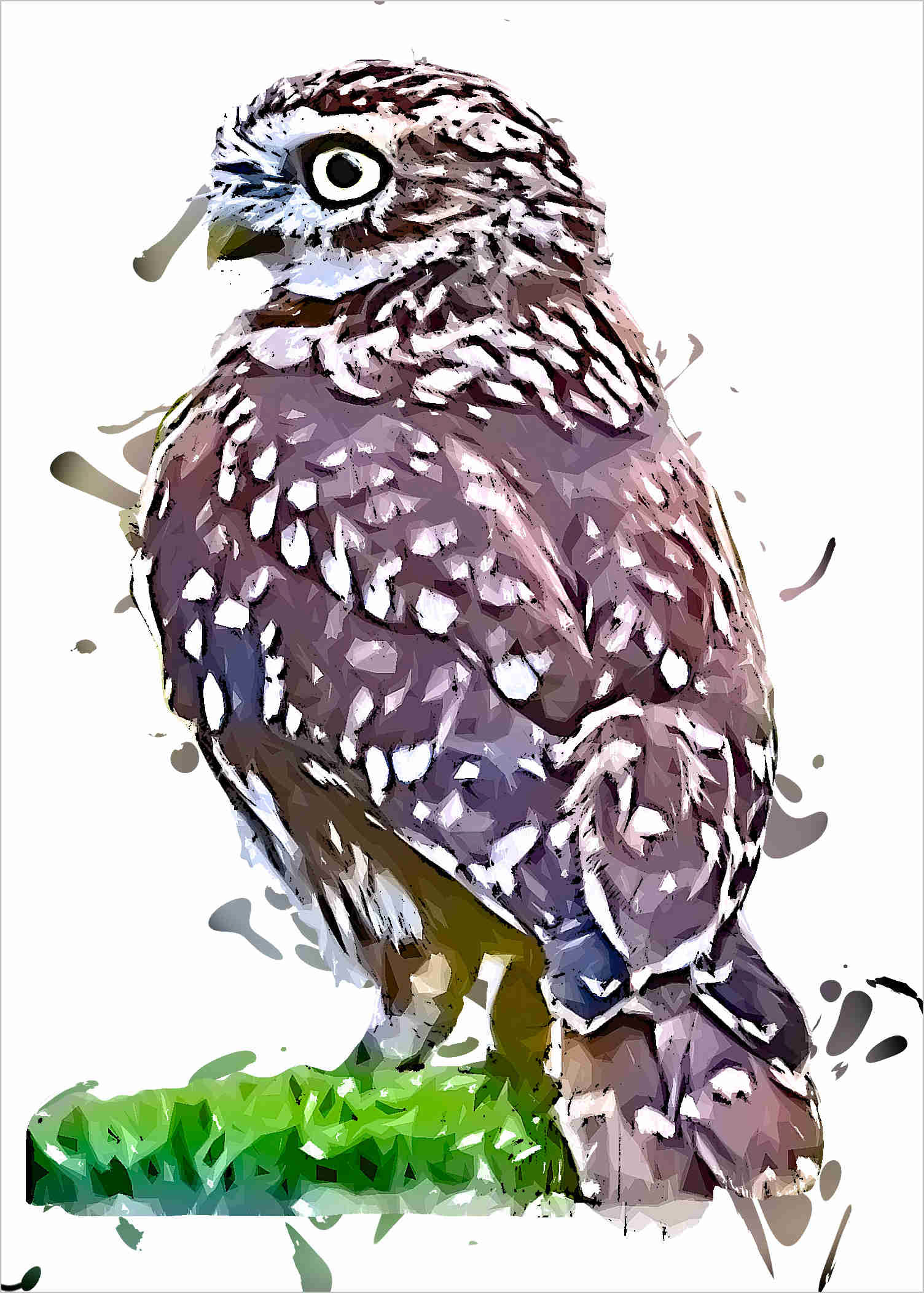 LittleOwl 766000120