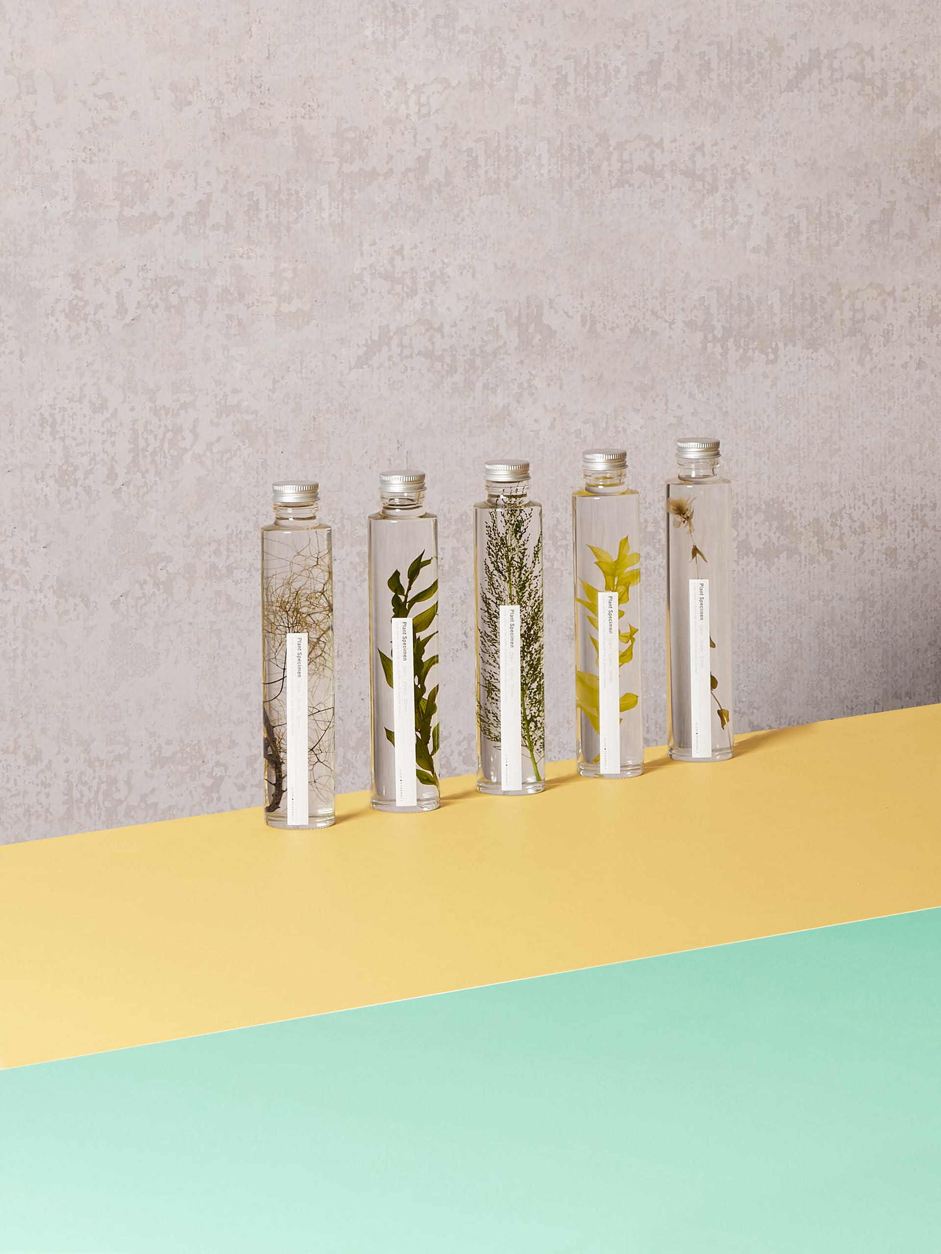 Plant Specimens - SlowPharmacy