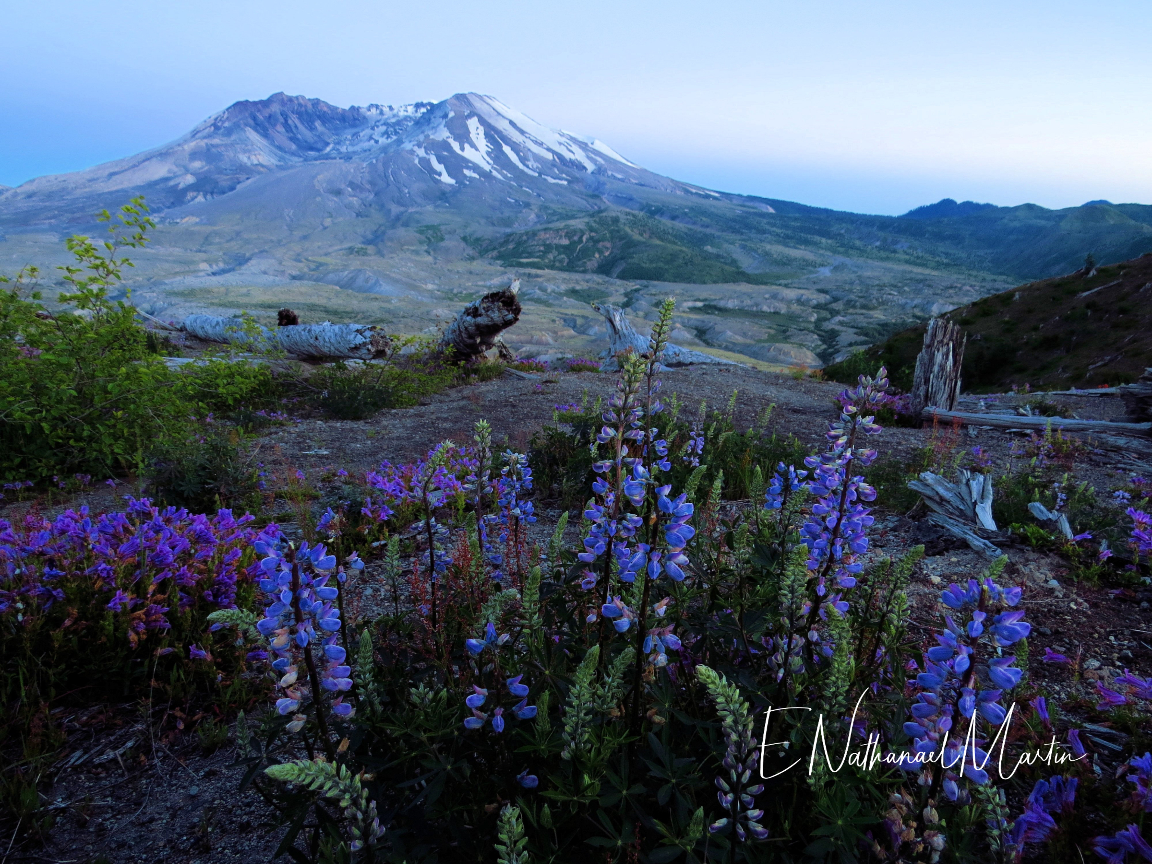 Nature By Nat Photography - Mount Saint Helens