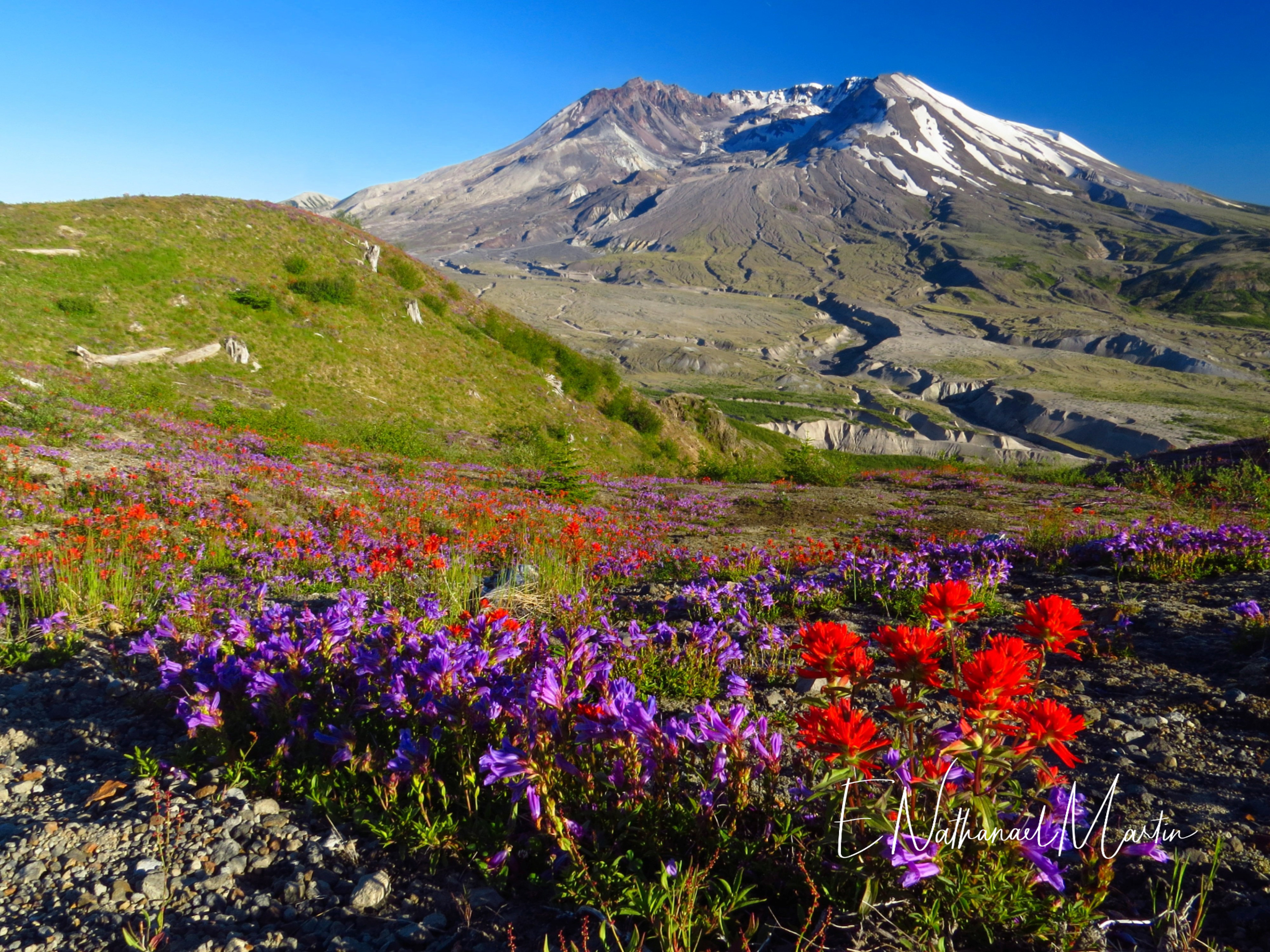 Nature by Nat Photography - Mount Saint Helens