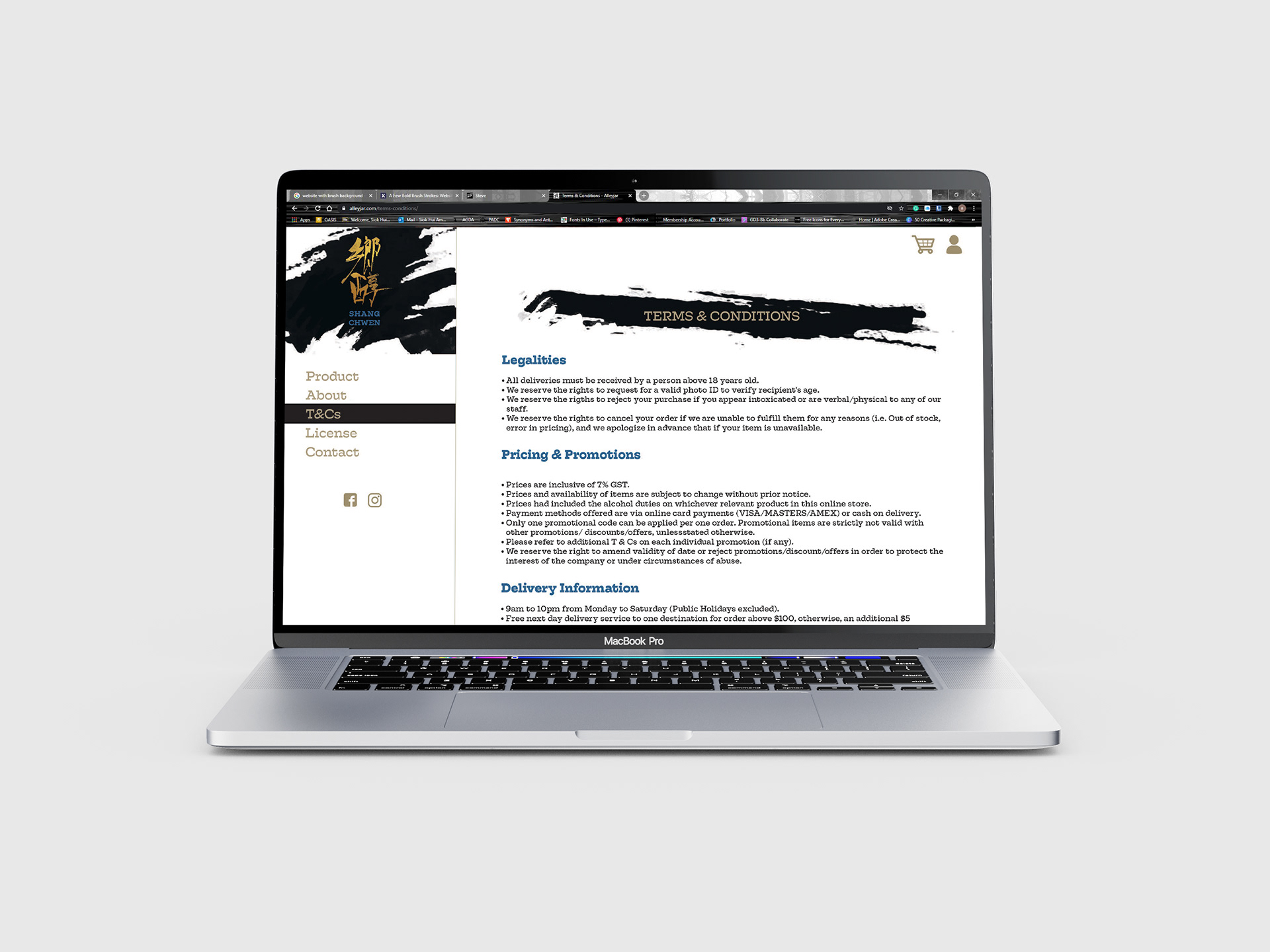 Terms & Conditions Page