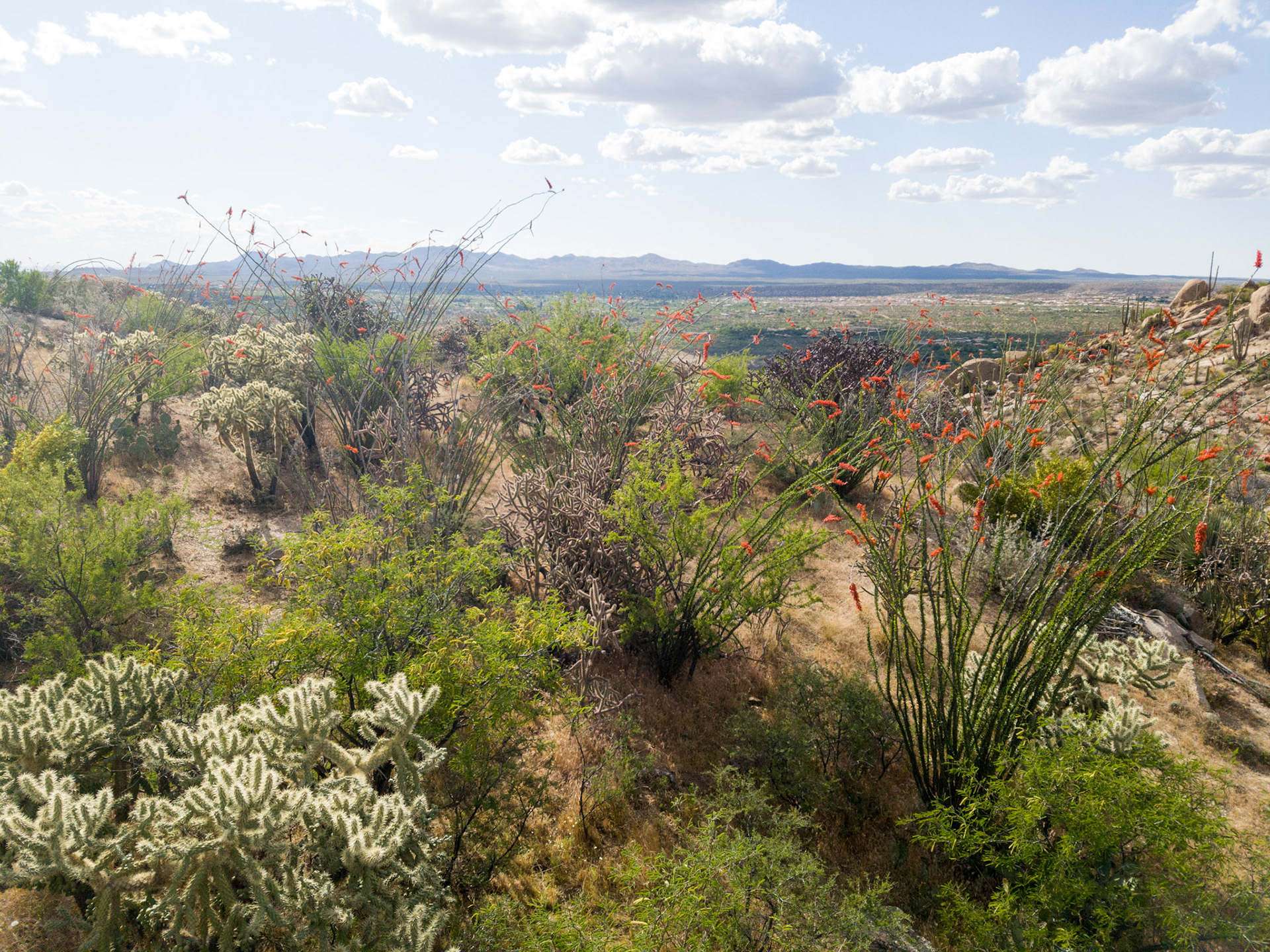Tucson
