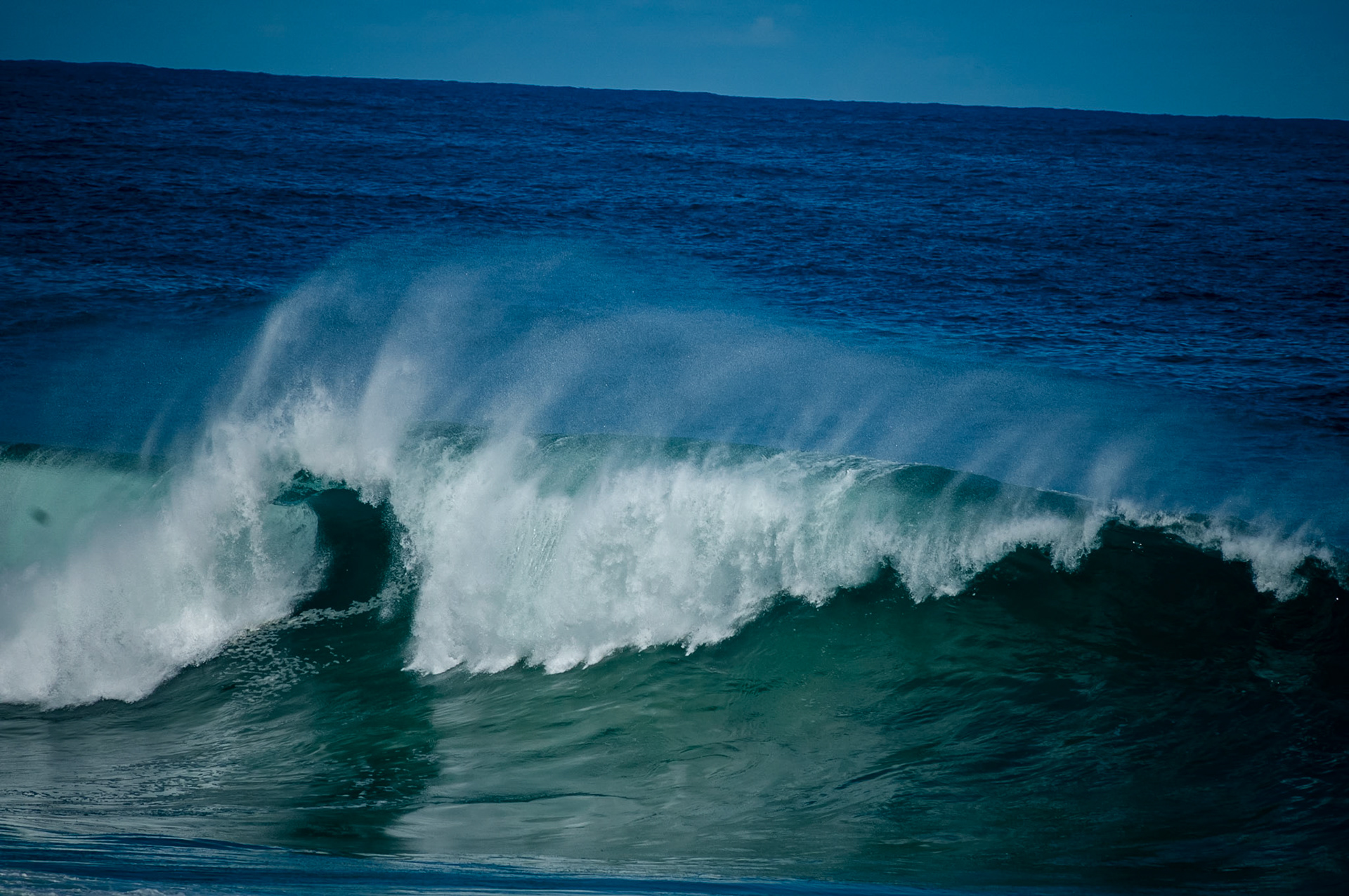 DSC_0280