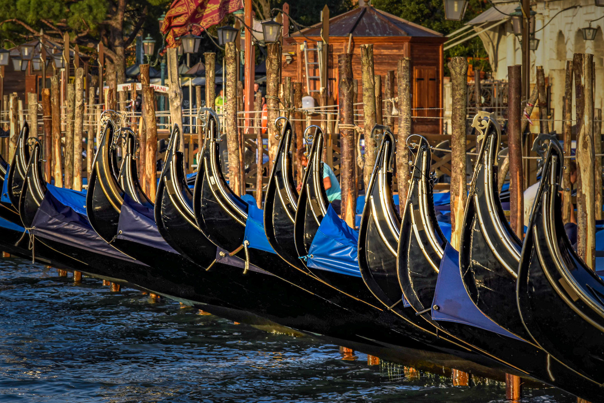 Venise _ Gondoles à San Marco